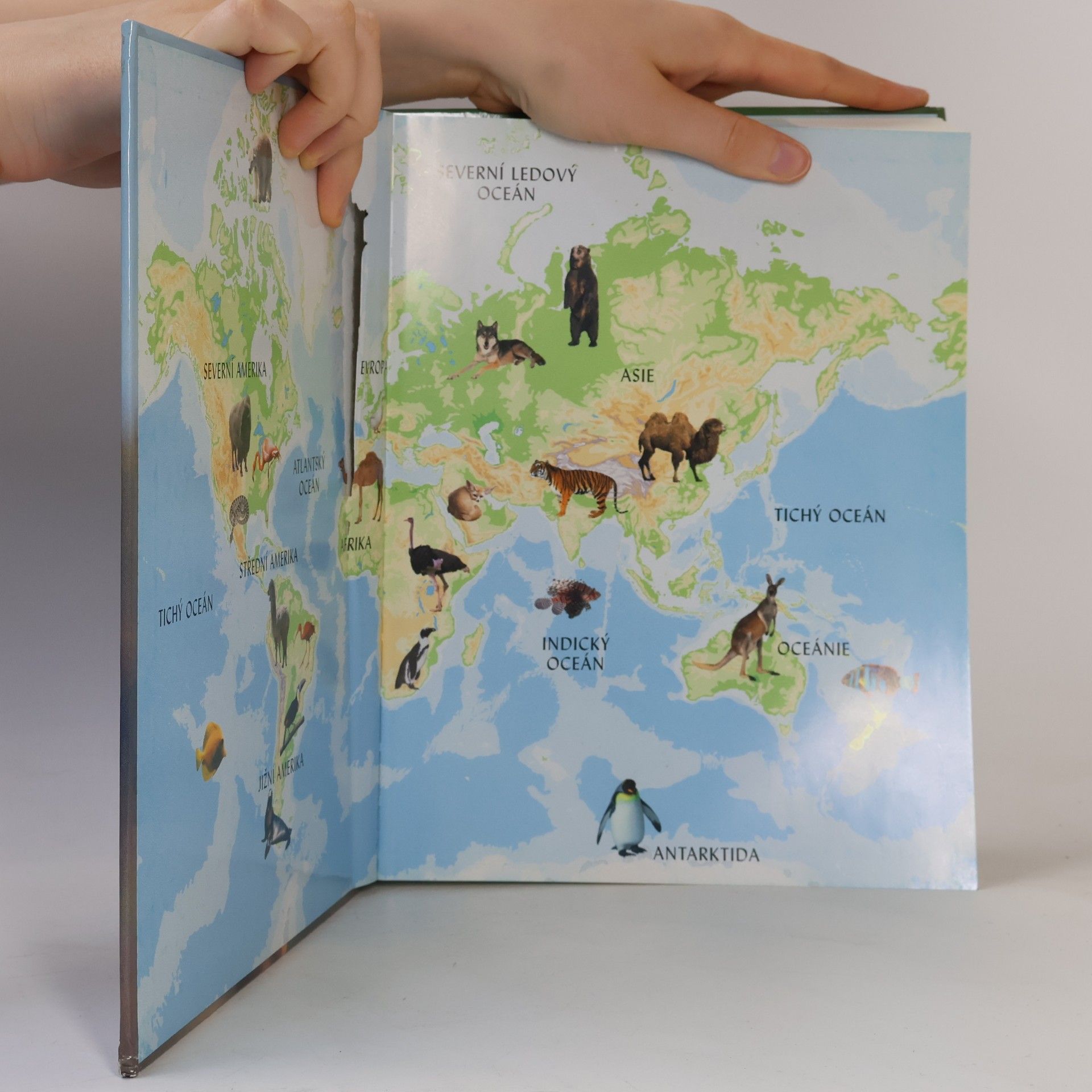 Autorenkollektiv Obrazový atlas zvířat