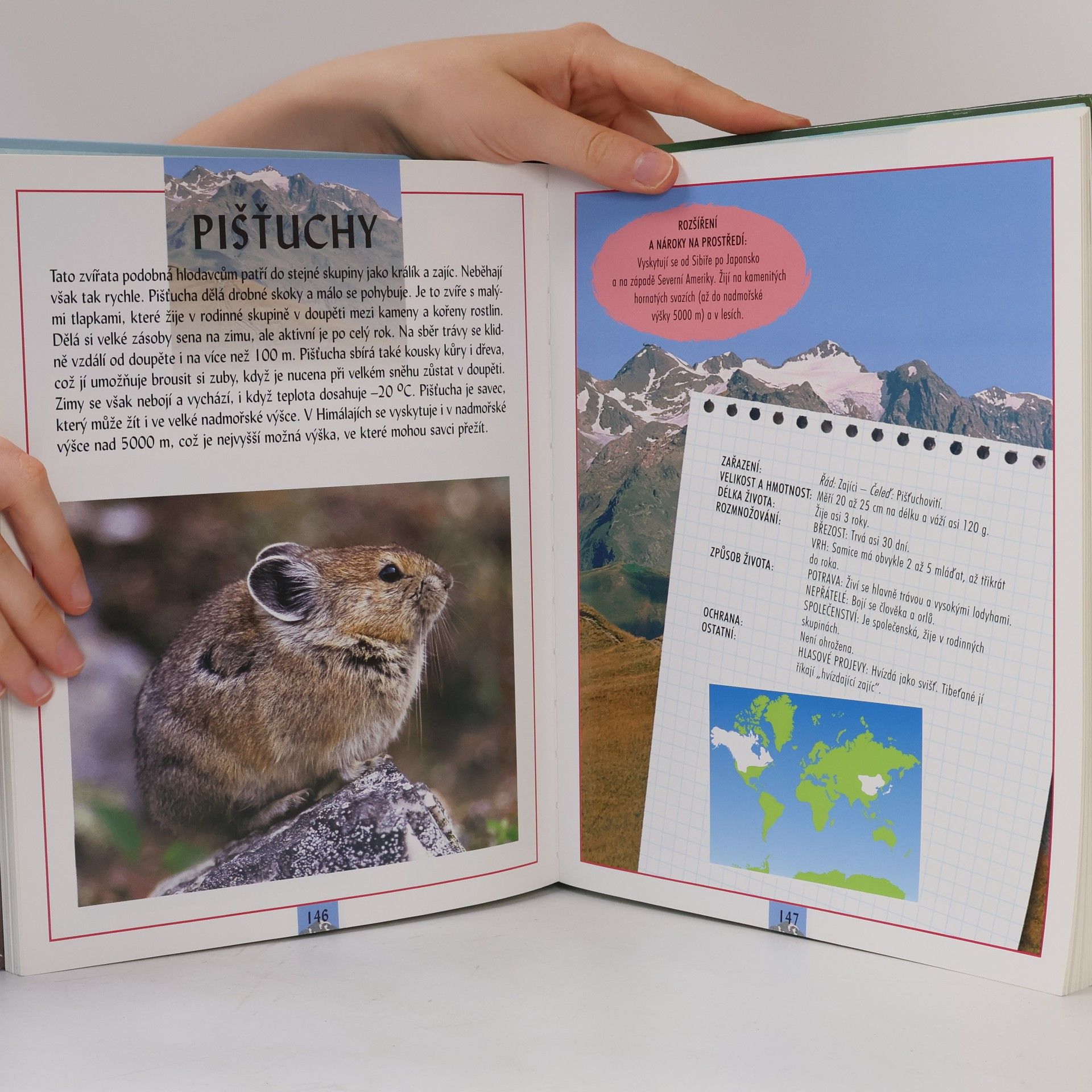 Autorenkollektiv Obrazový atlas zvířat