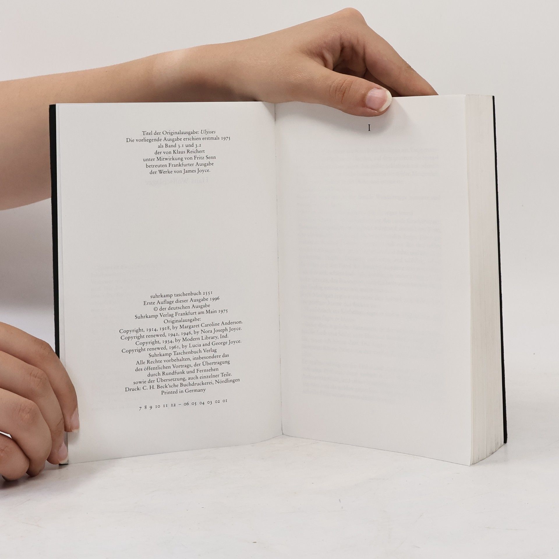 James Joyce Ulysses