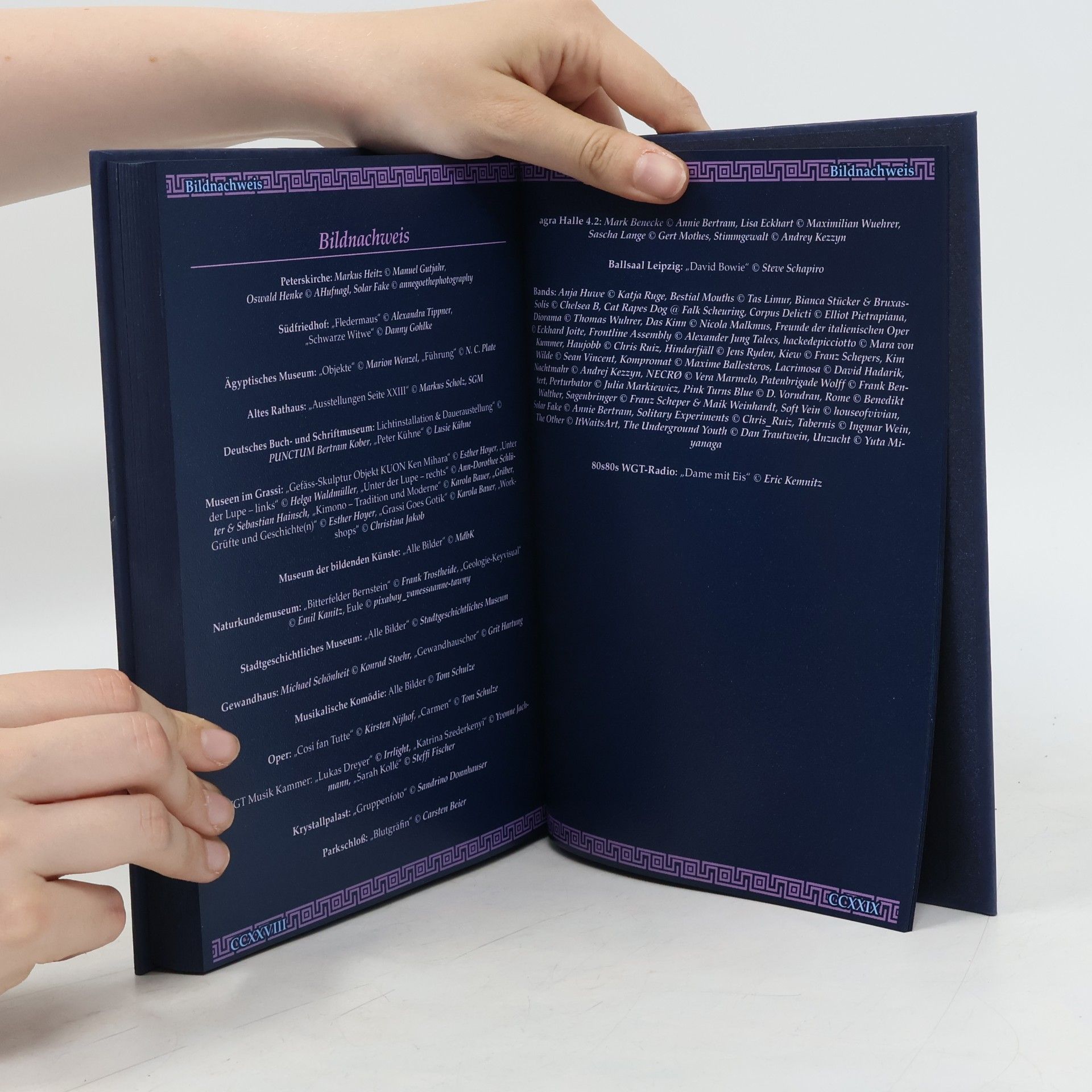 Autorenkollektiv Pfingstbote. Offizielles Programmbuch