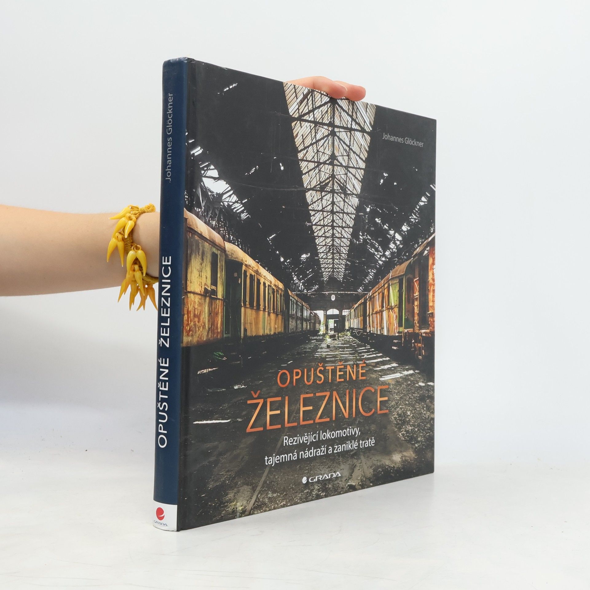 Opuštěné železnice : rezivějící lokomotivy, tajemná nádraží a zaniklé tratě