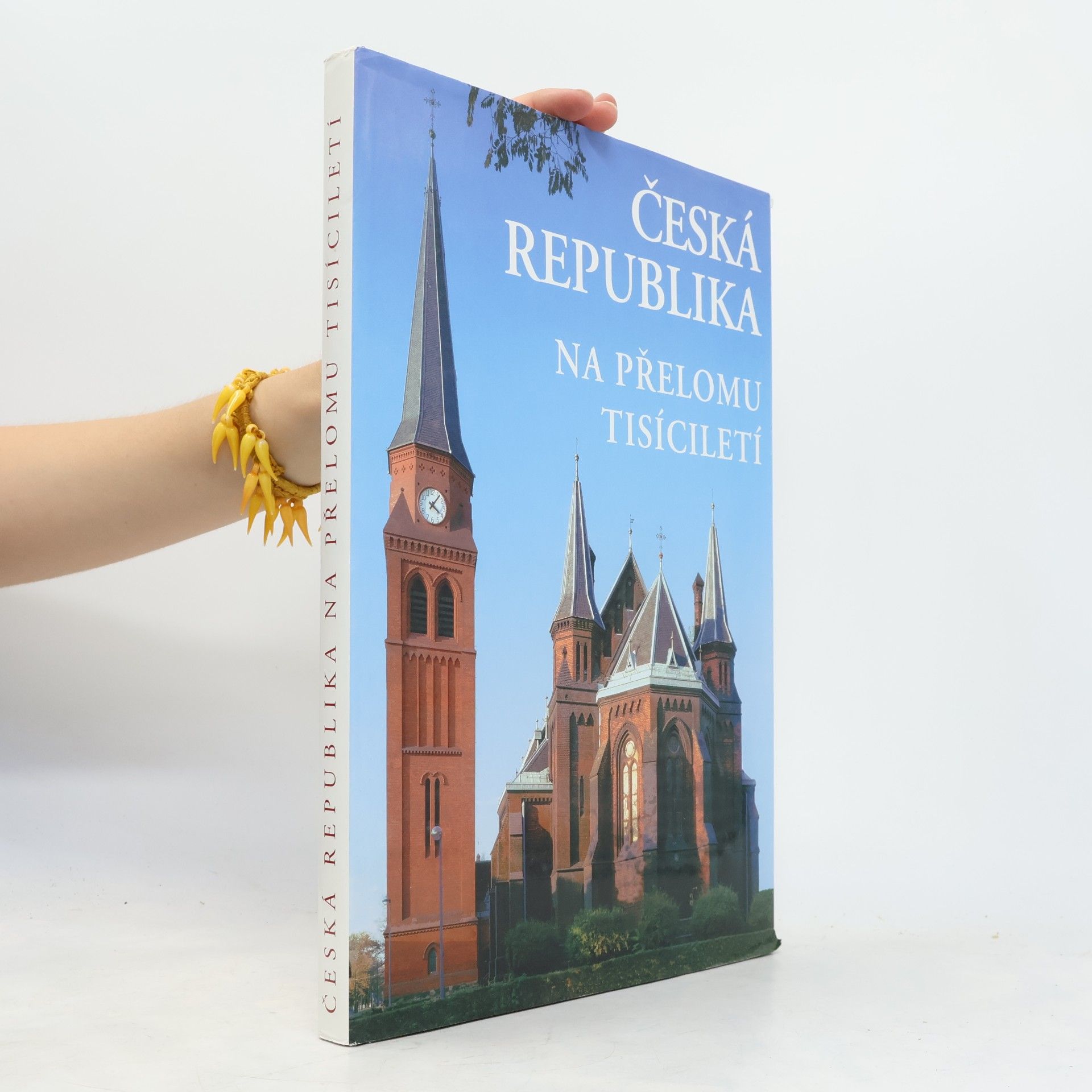 Česká republika na přelomu tisíciletí