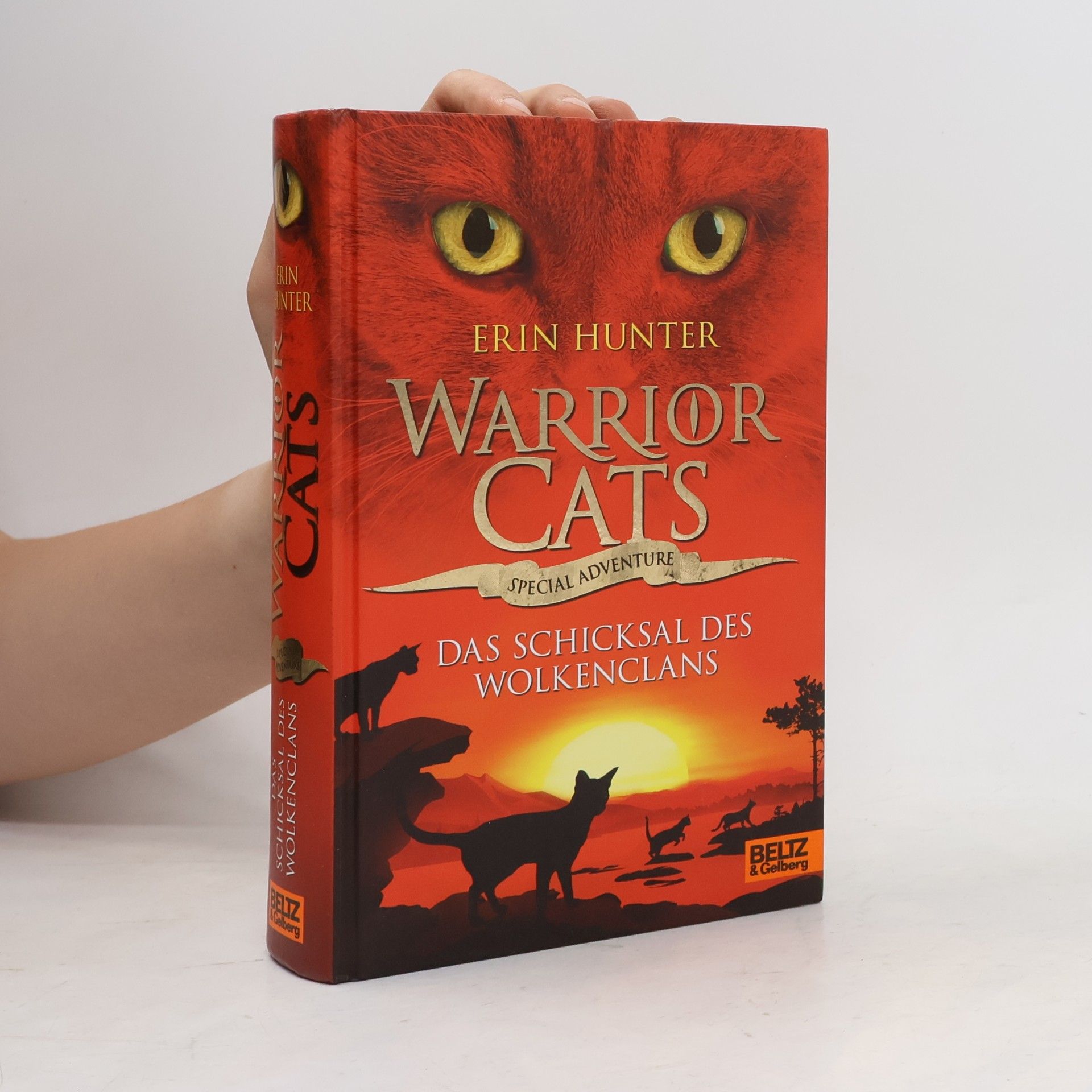 Erin Hunter Warrior Cats: Das Schicksal des WolkenClans