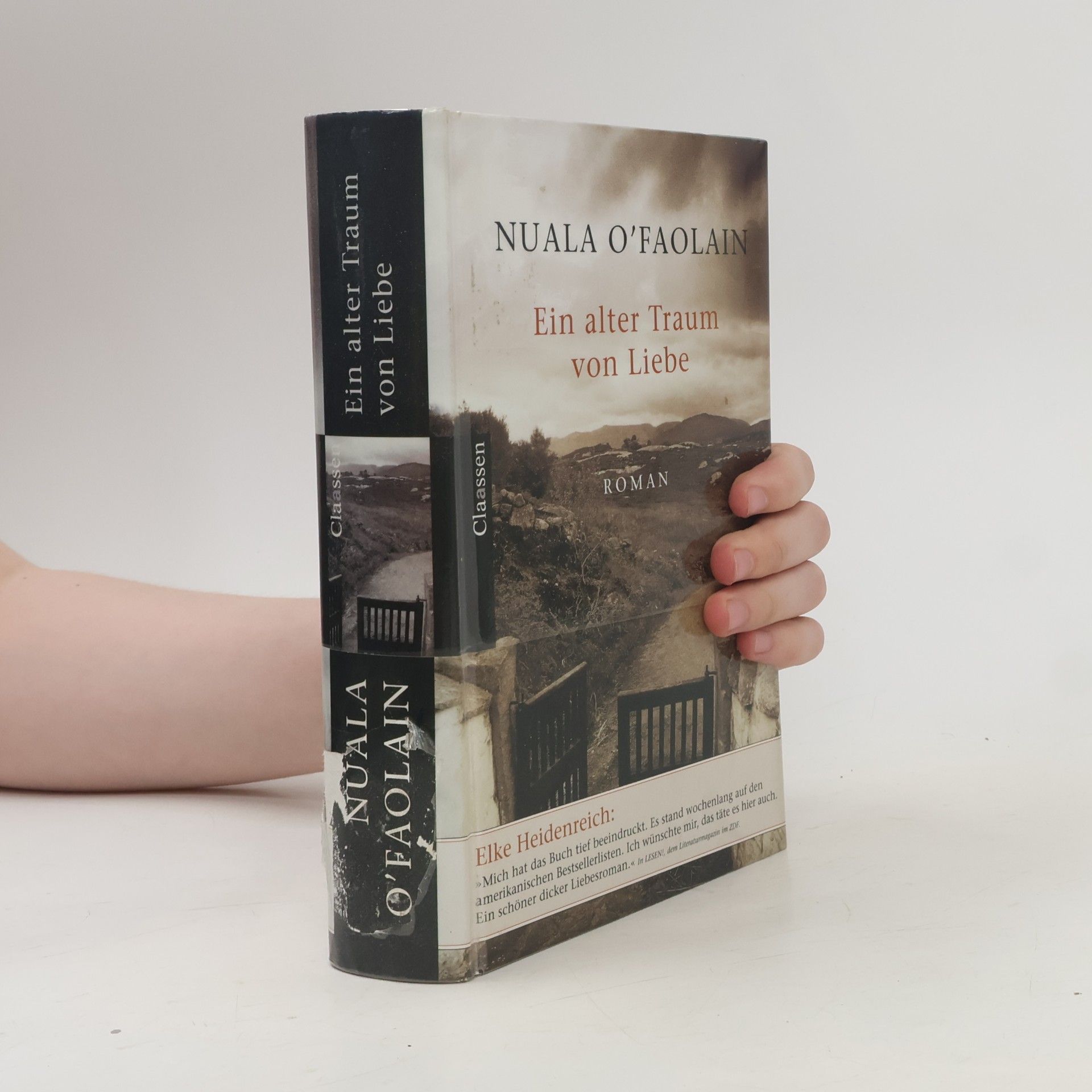 Nuala O. Faolain Ein alter Traum von Liebe