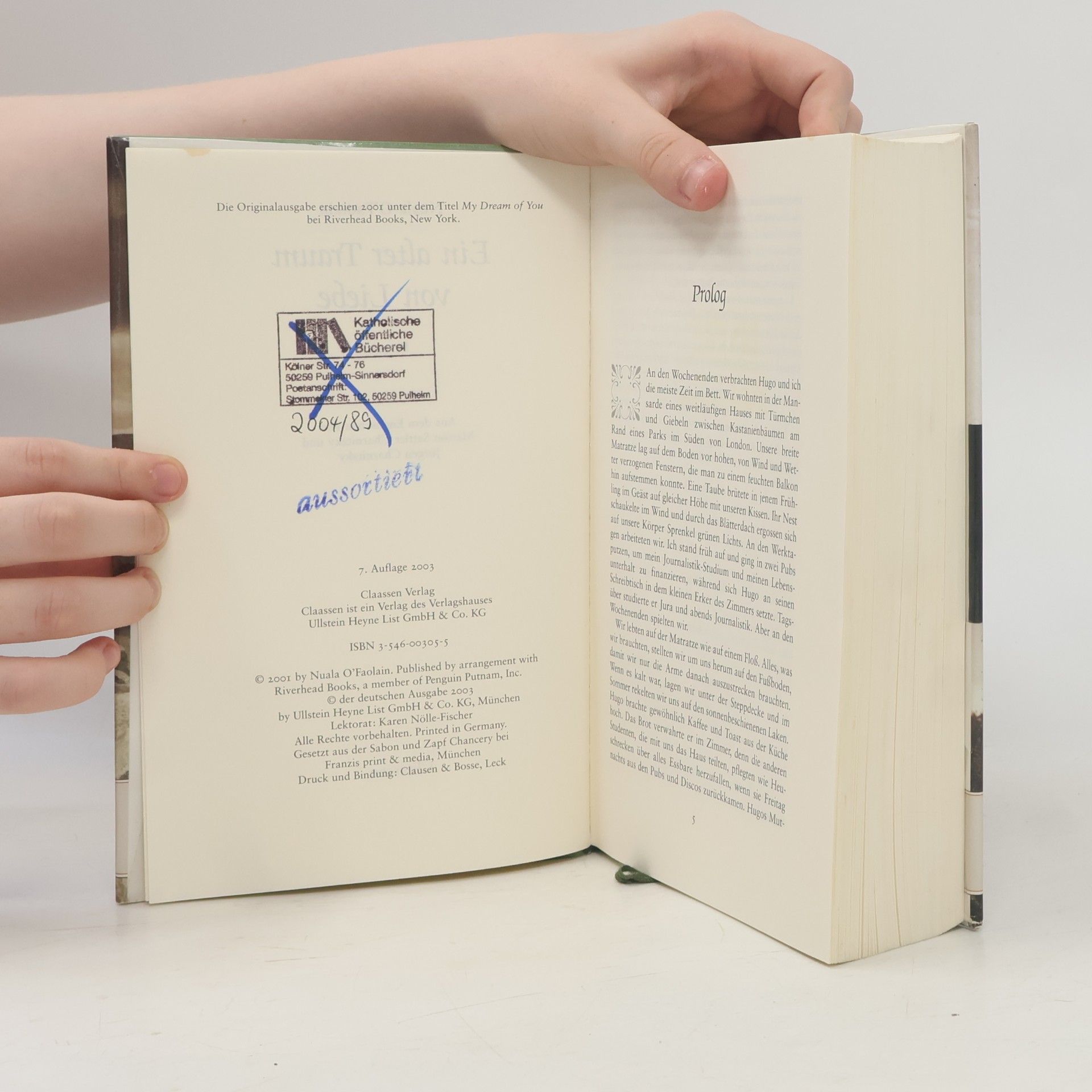 Nuala O. Faolain Ein alter Traum von Liebe
