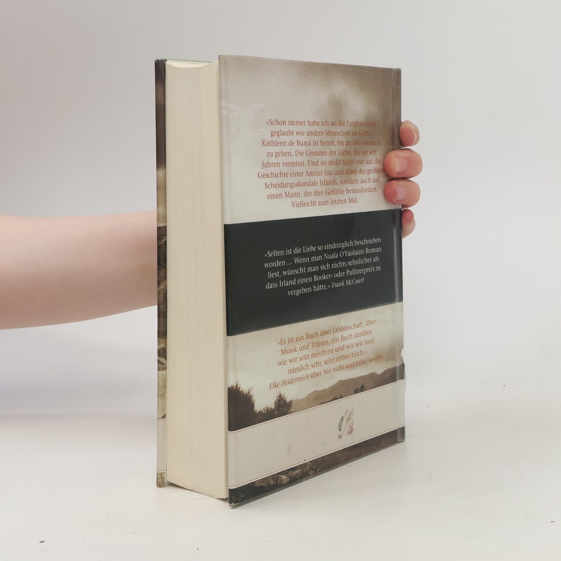 Nuala O. Faolain Ein alter Traum von Liebe
