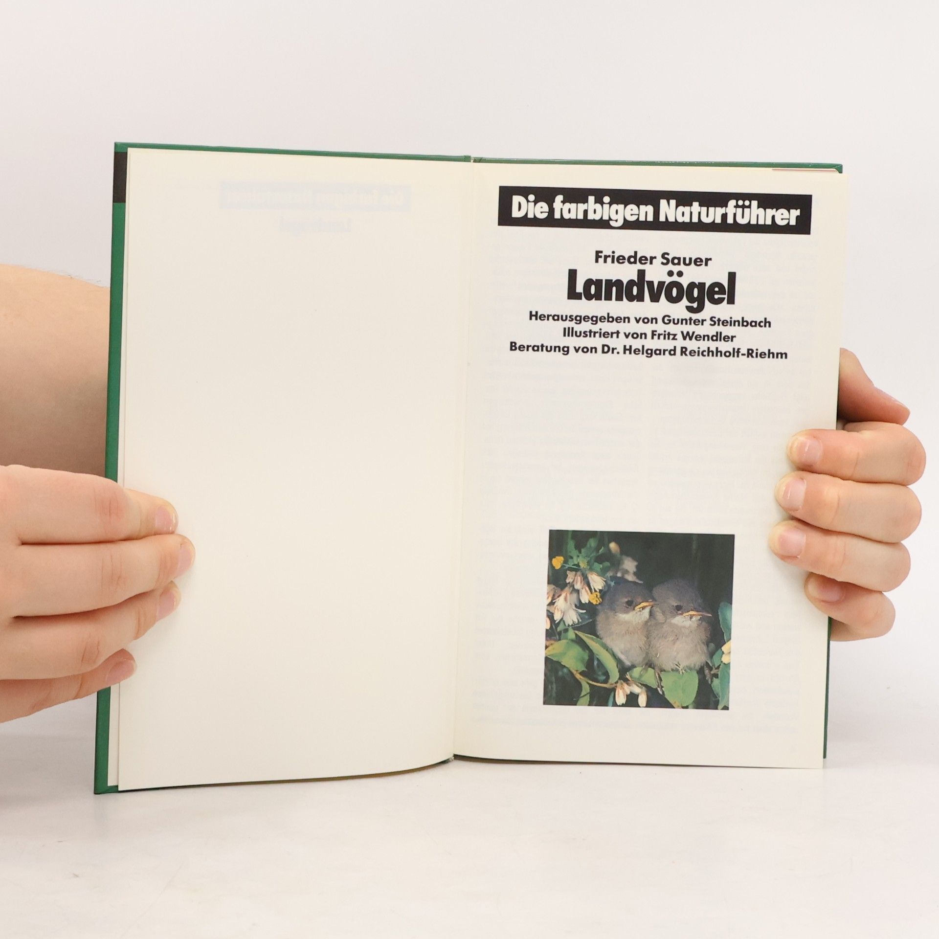 Gunter Steinbach Die farbigen Naturführer. Landvögel