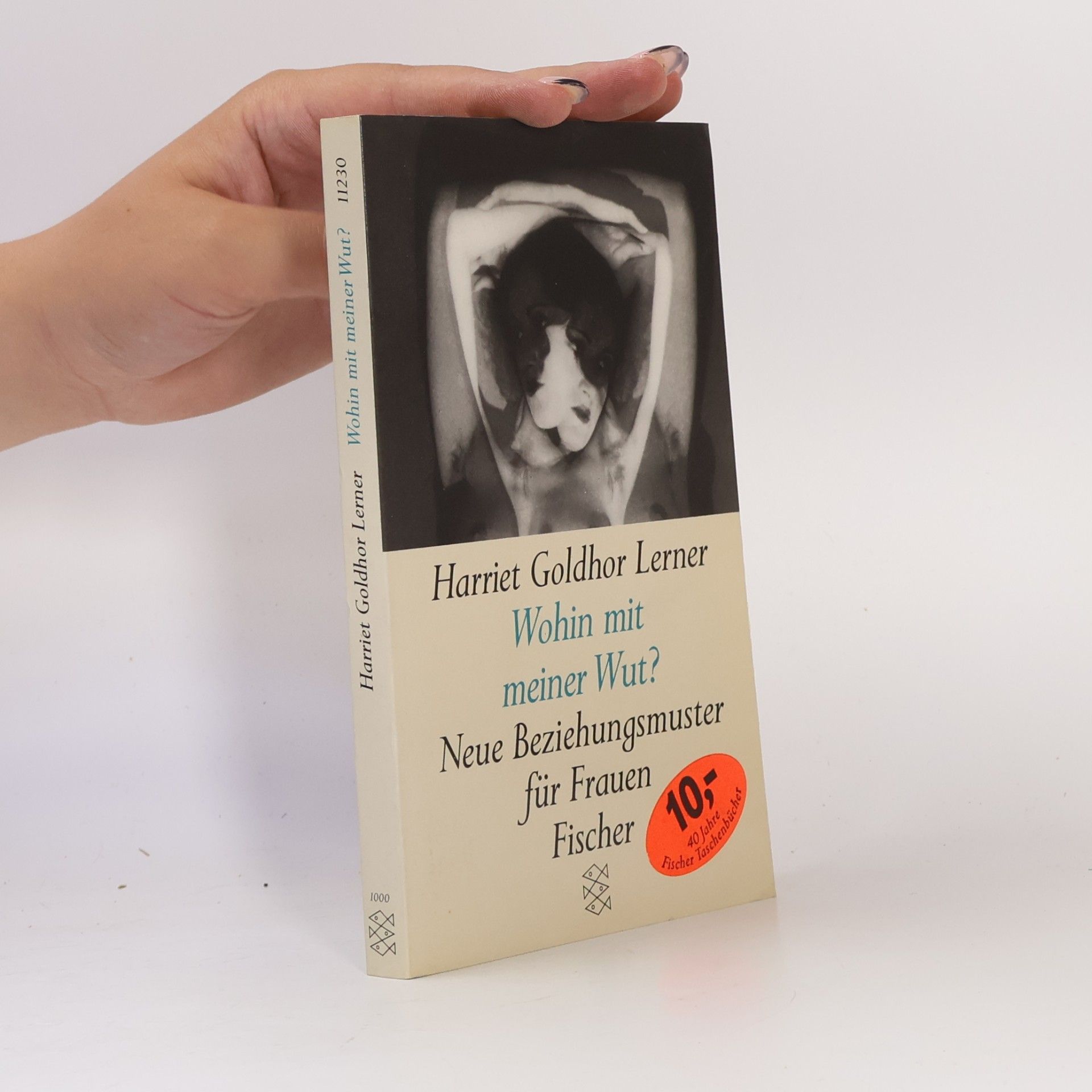 Harriet Lerner Wohin mit meiner Wut?