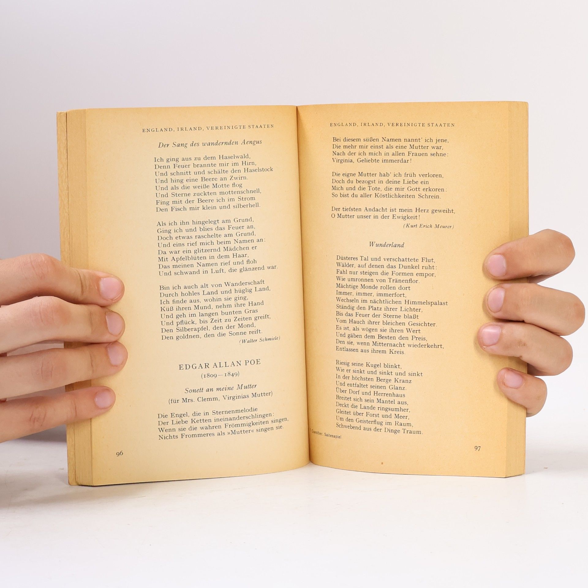 Johannes Guenther Unsterbliches Saitenspiel. Die schönsten Gedichte der Weltliteratur
