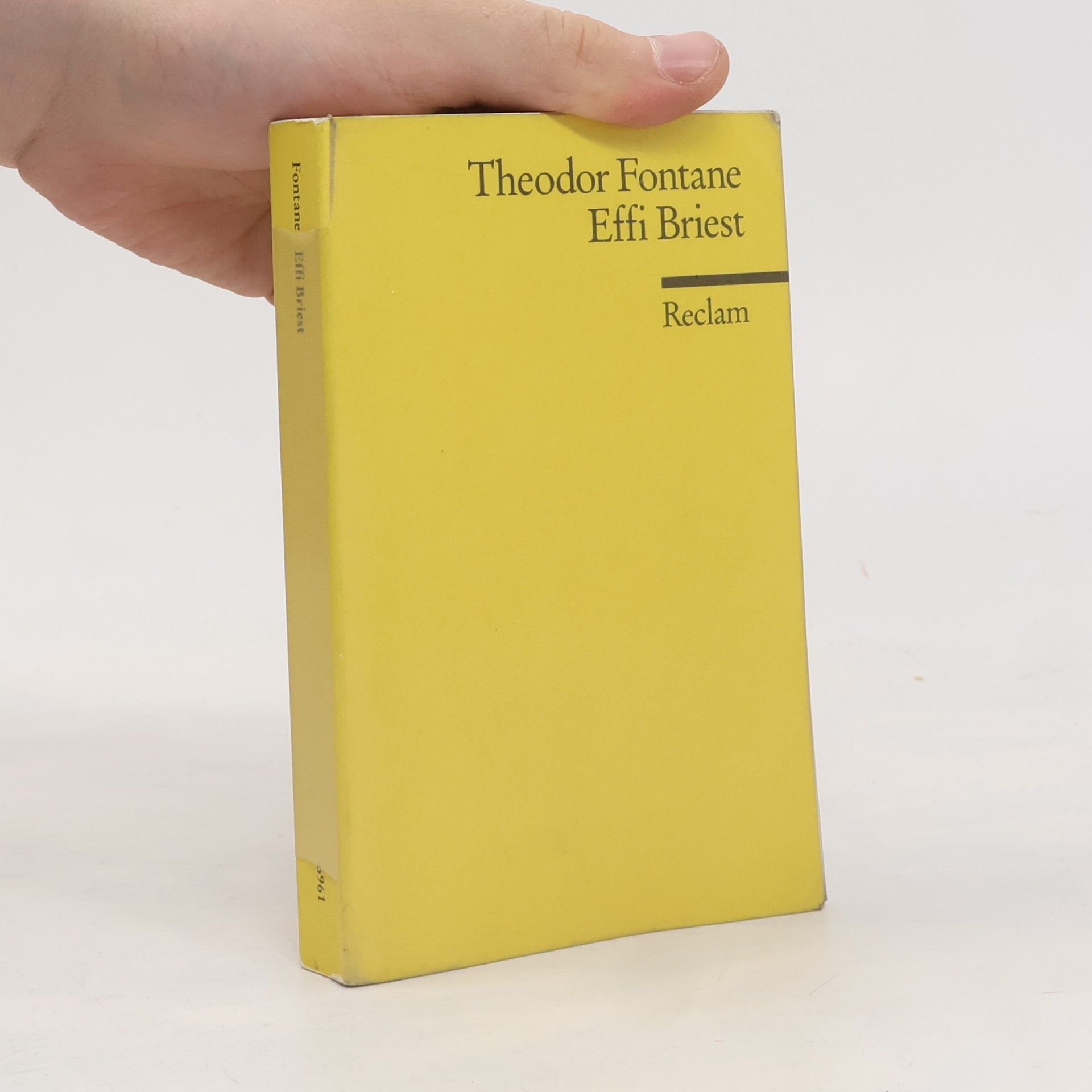 Theodor Fontane Effi Briest