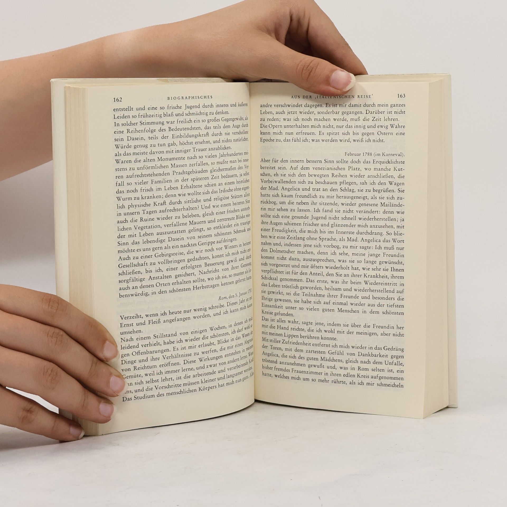 Johann Wolfgang von Goethe Goethe Werke Sechster Band. Vermischte Schriften
