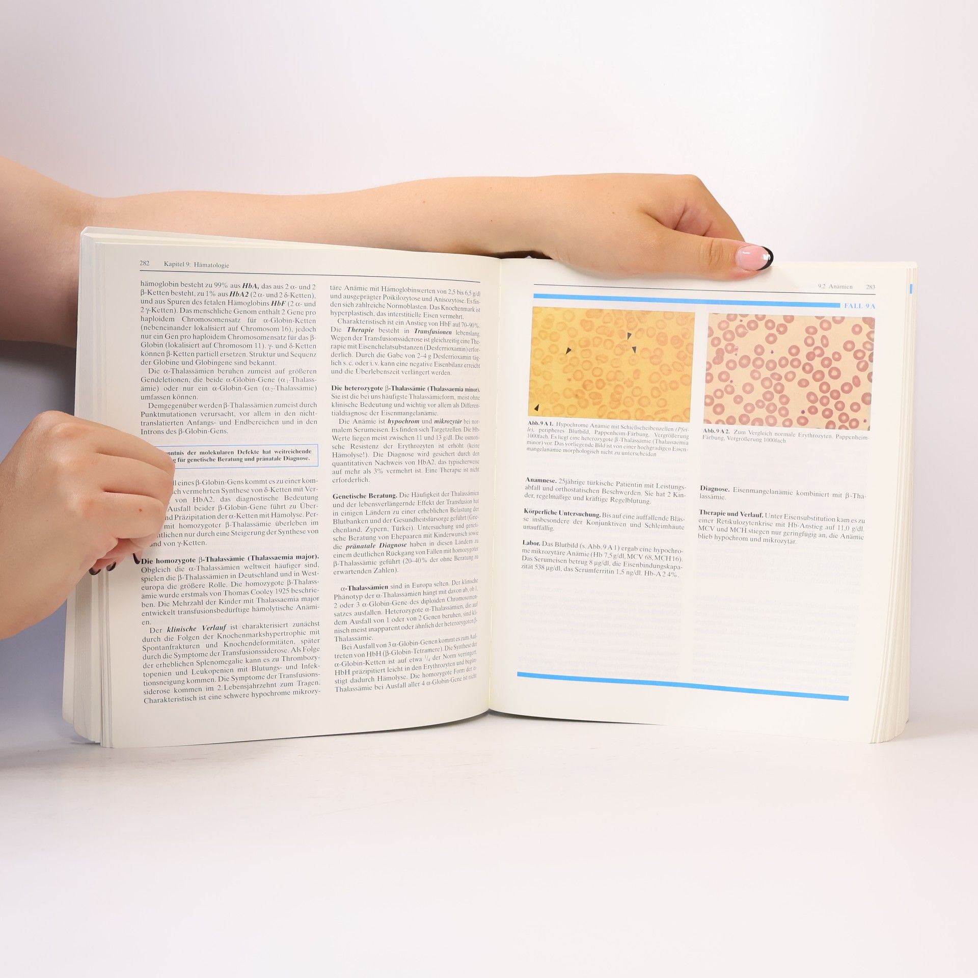 Nepomuk Zöllner Springer-Lehrbuch: Innere Medizin