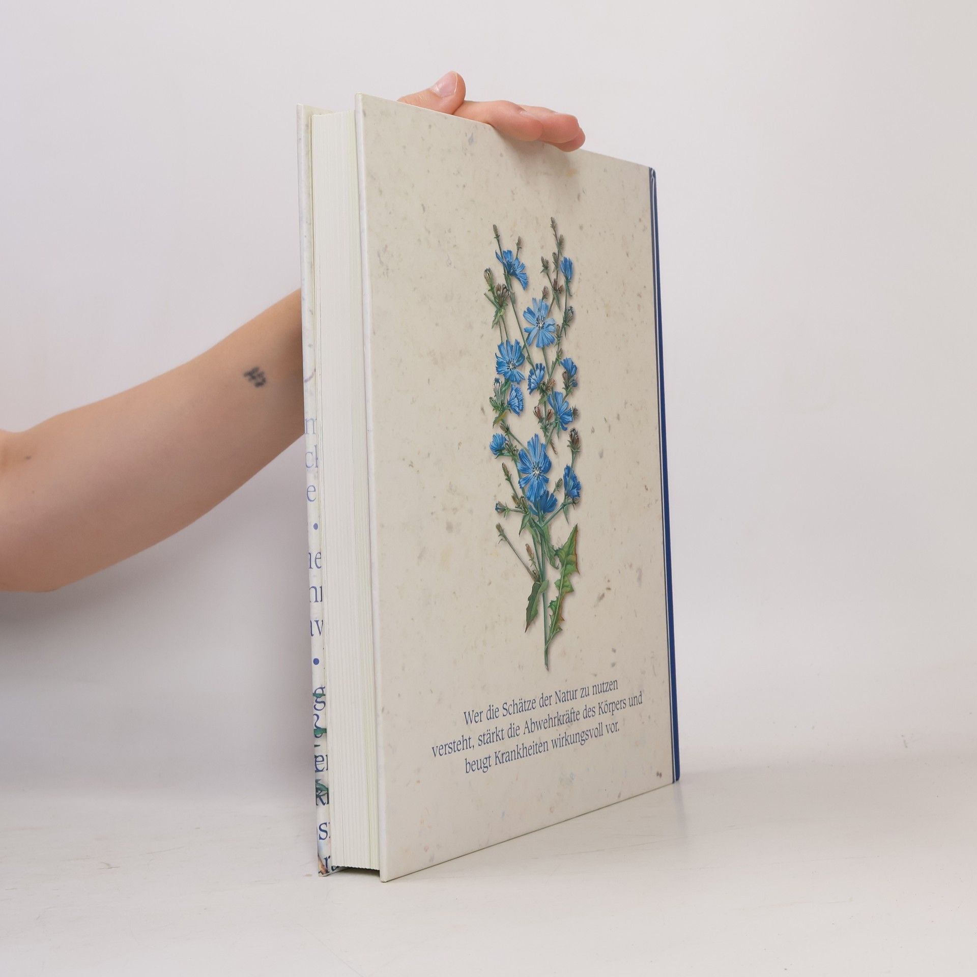 Ulrike Novotny Reader's Digest Heilpflanzen-Buch
