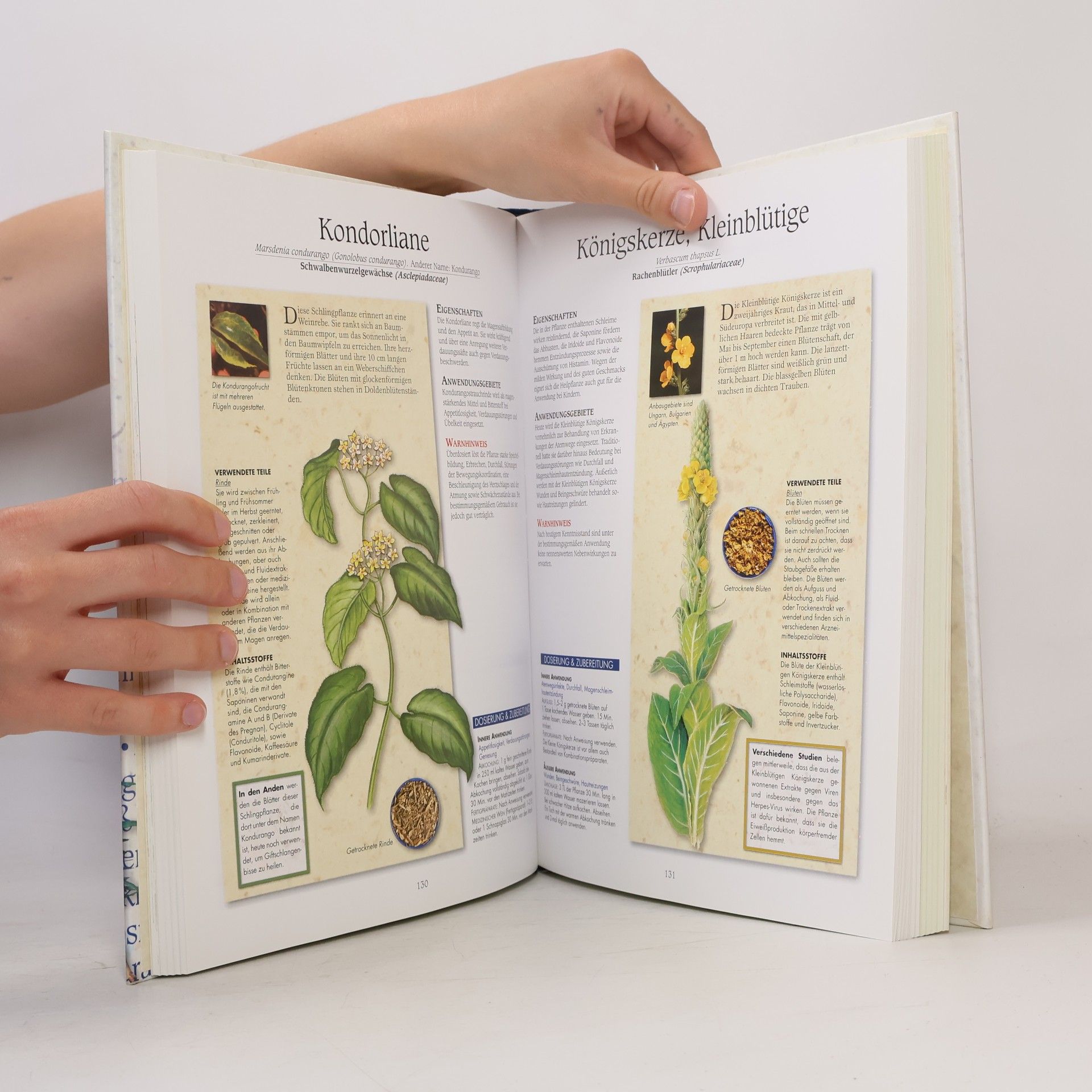 Ulrike Novotny Reader's Digest Heilpflanzen-Buch