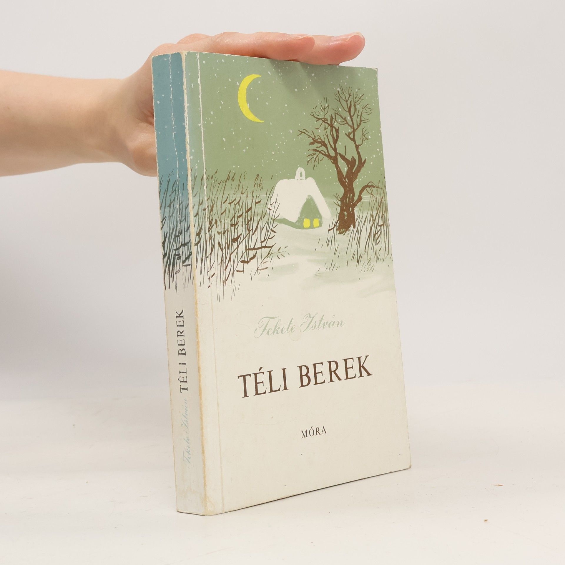 István Fekete Téli berek