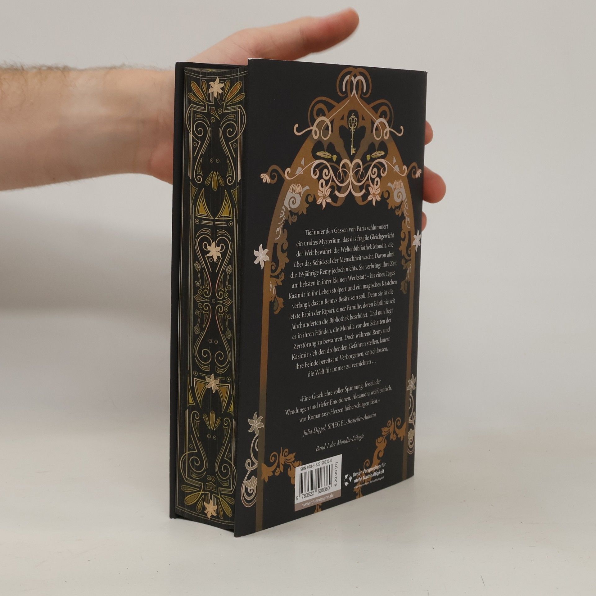 Alexandra Flint Mondia-Dilogie 1: Silent Secrets