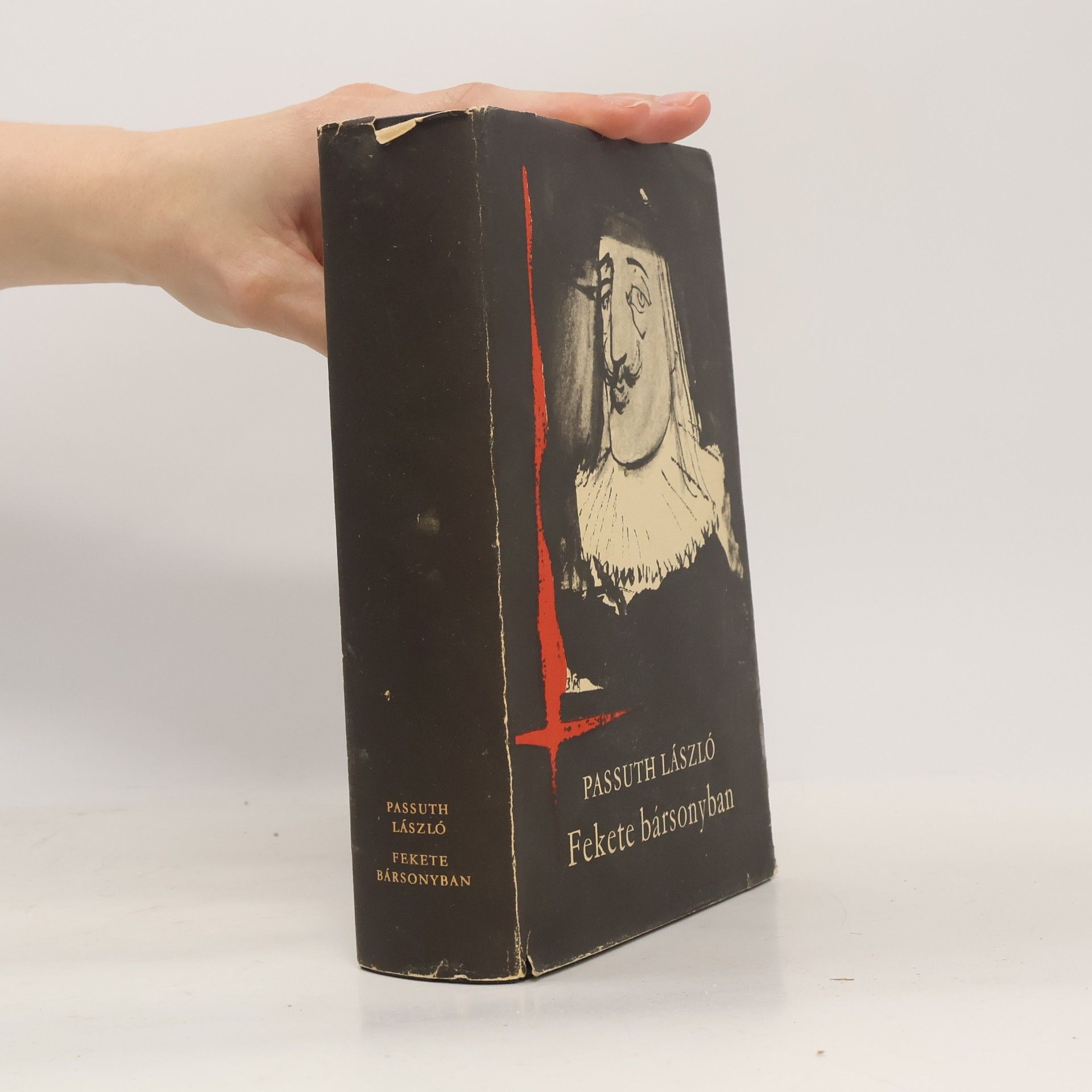 László Passuth Fekete bársonyban