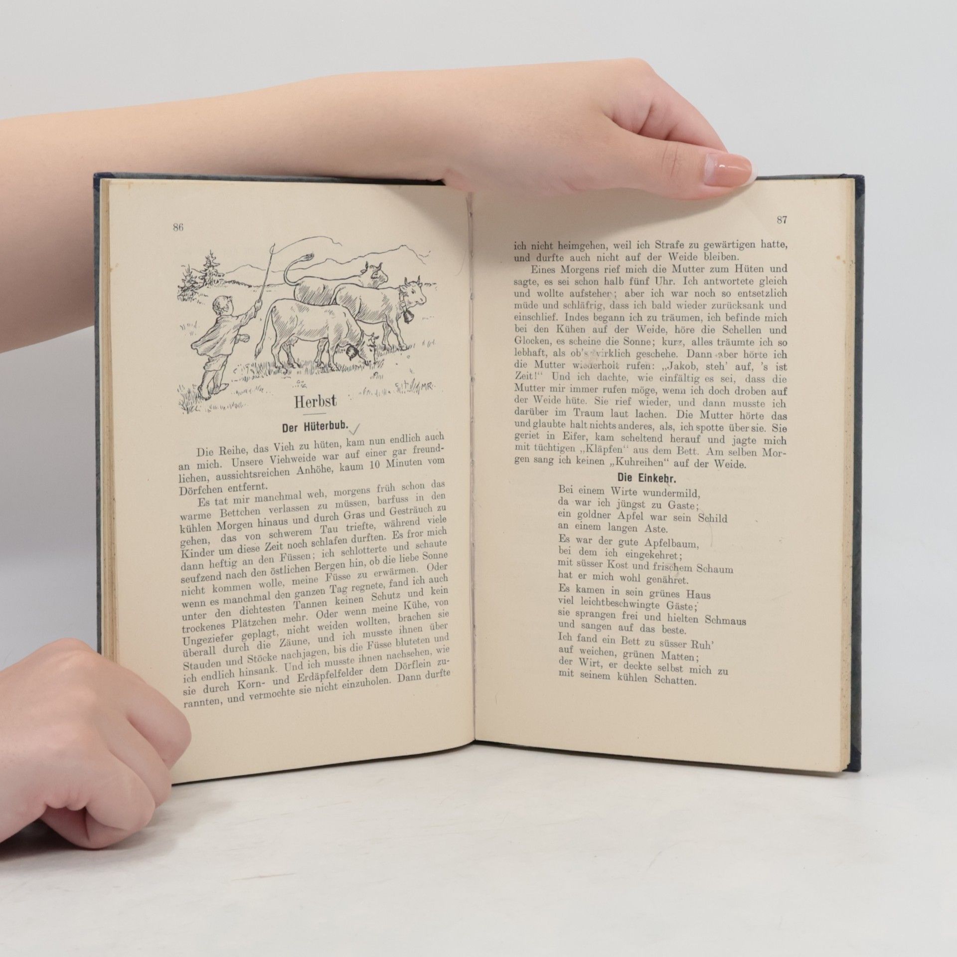 Fritz Gassmann Zürcher Lesebuch für das vierte Schuljahr