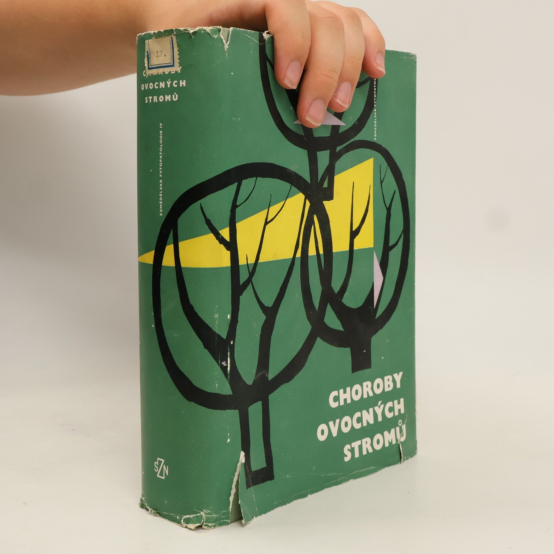 Kolektiv autorů Choroby ovocných stromů
