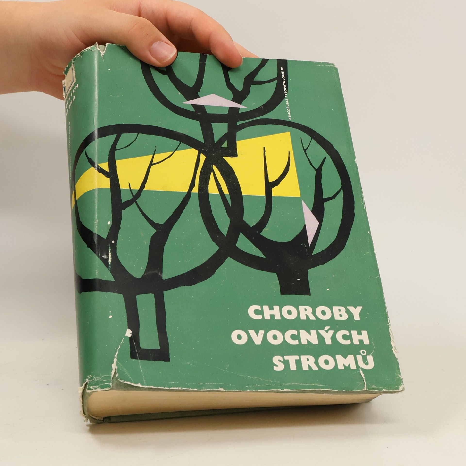 Kolektiv autorů Choroby ovocných stromů