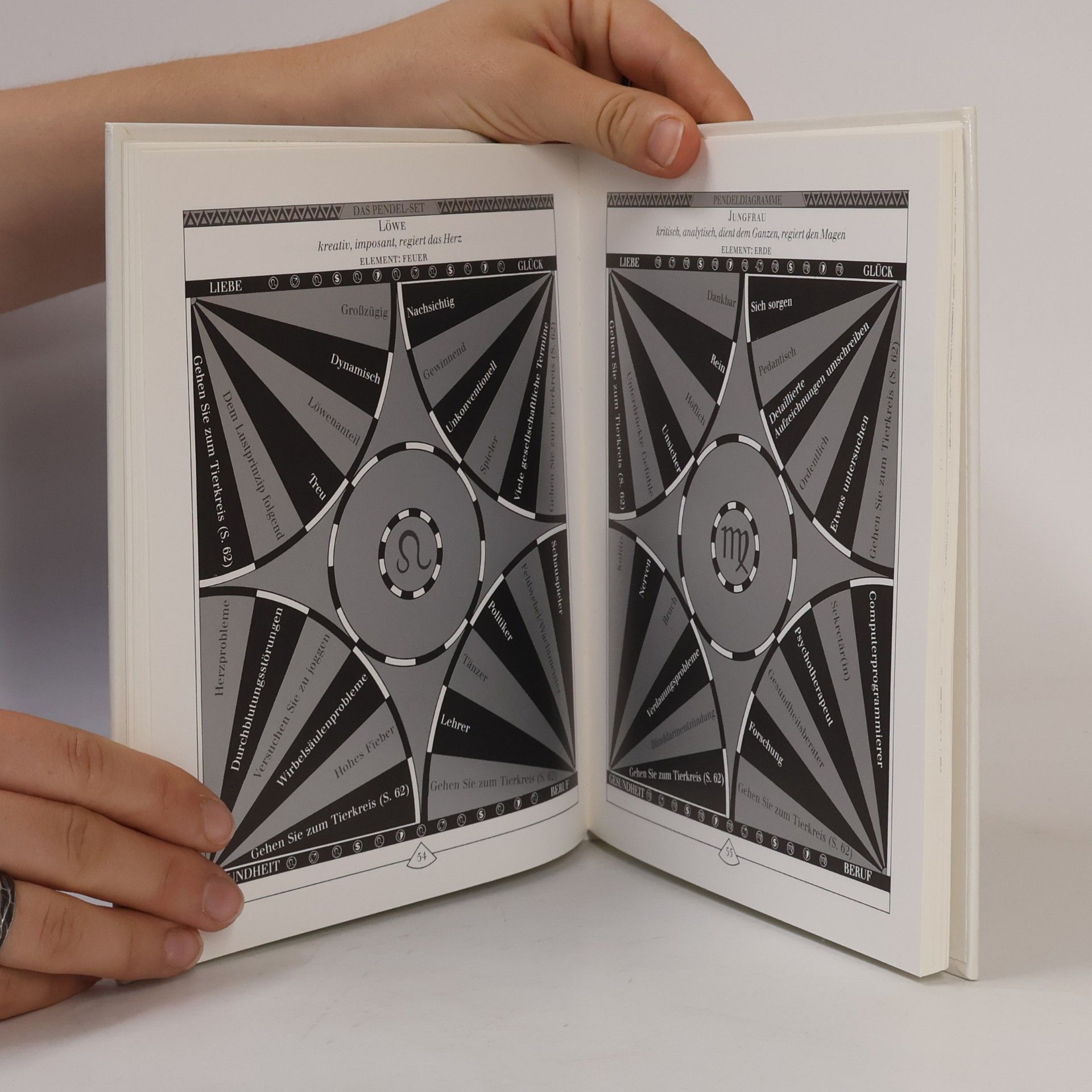Sig Lonegren Das Buch zum Pendel-Set