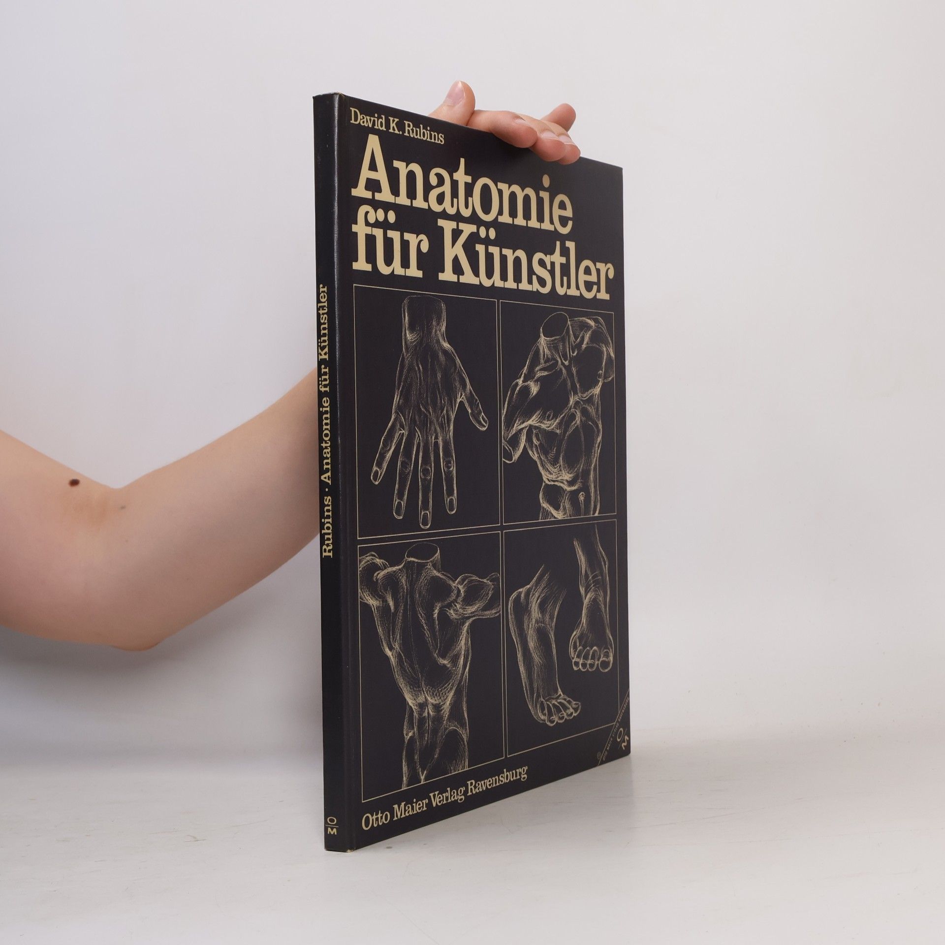 David K. Rubins Anatomie für Künstler