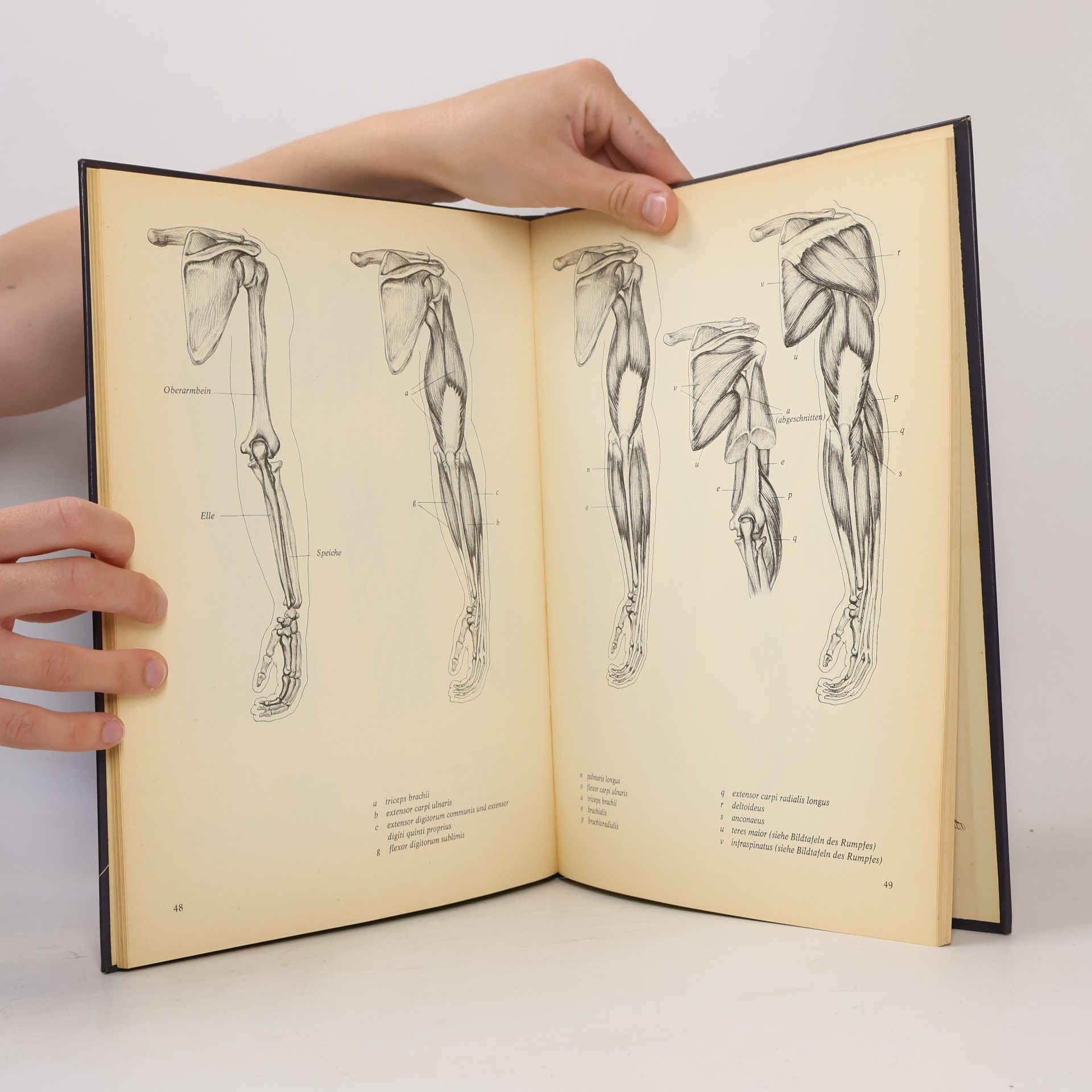 David K. Rubins Anatomie für Künstler