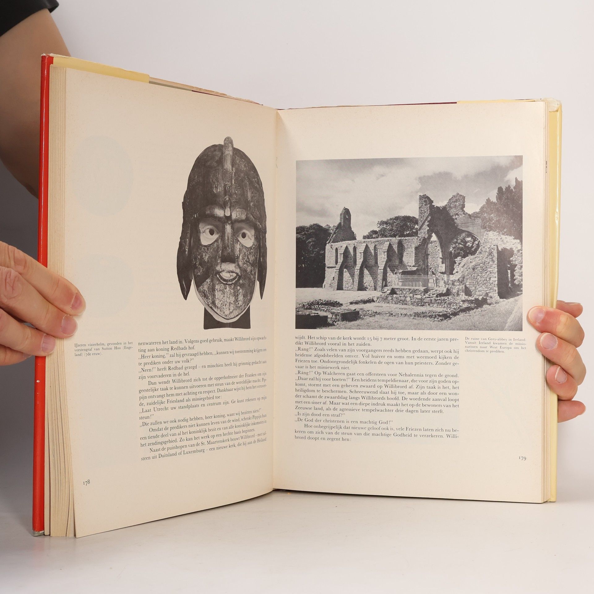 Jaap ter Haar Geschiedenis van de Lage Landen - 1: Prehistorie - Romeinse Tijd - Middeleeuwen
