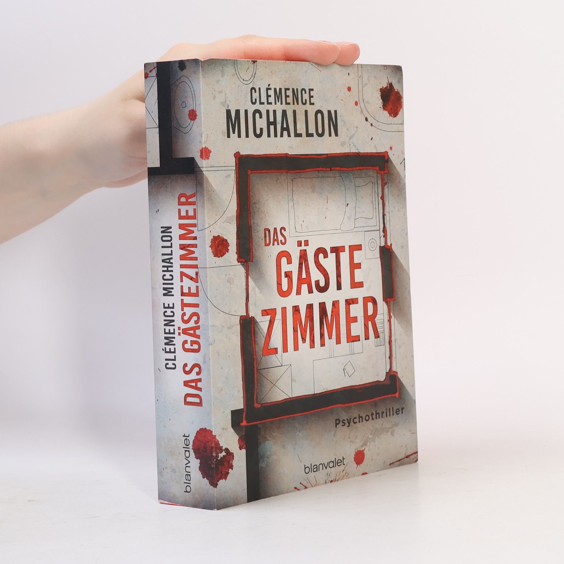 Clémence Michallon Das Gästezimmer