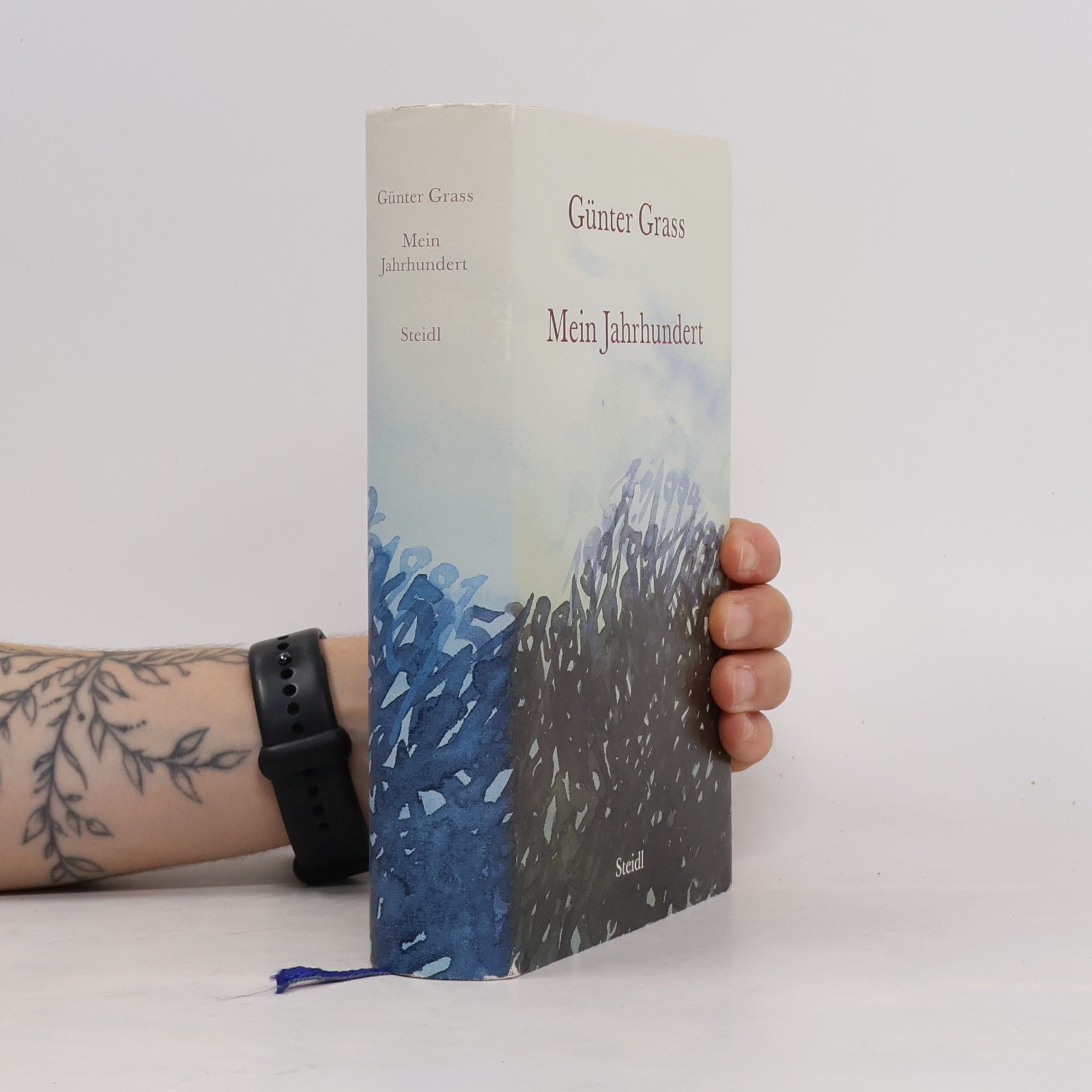 Günter Grass Mein Jahrhundert