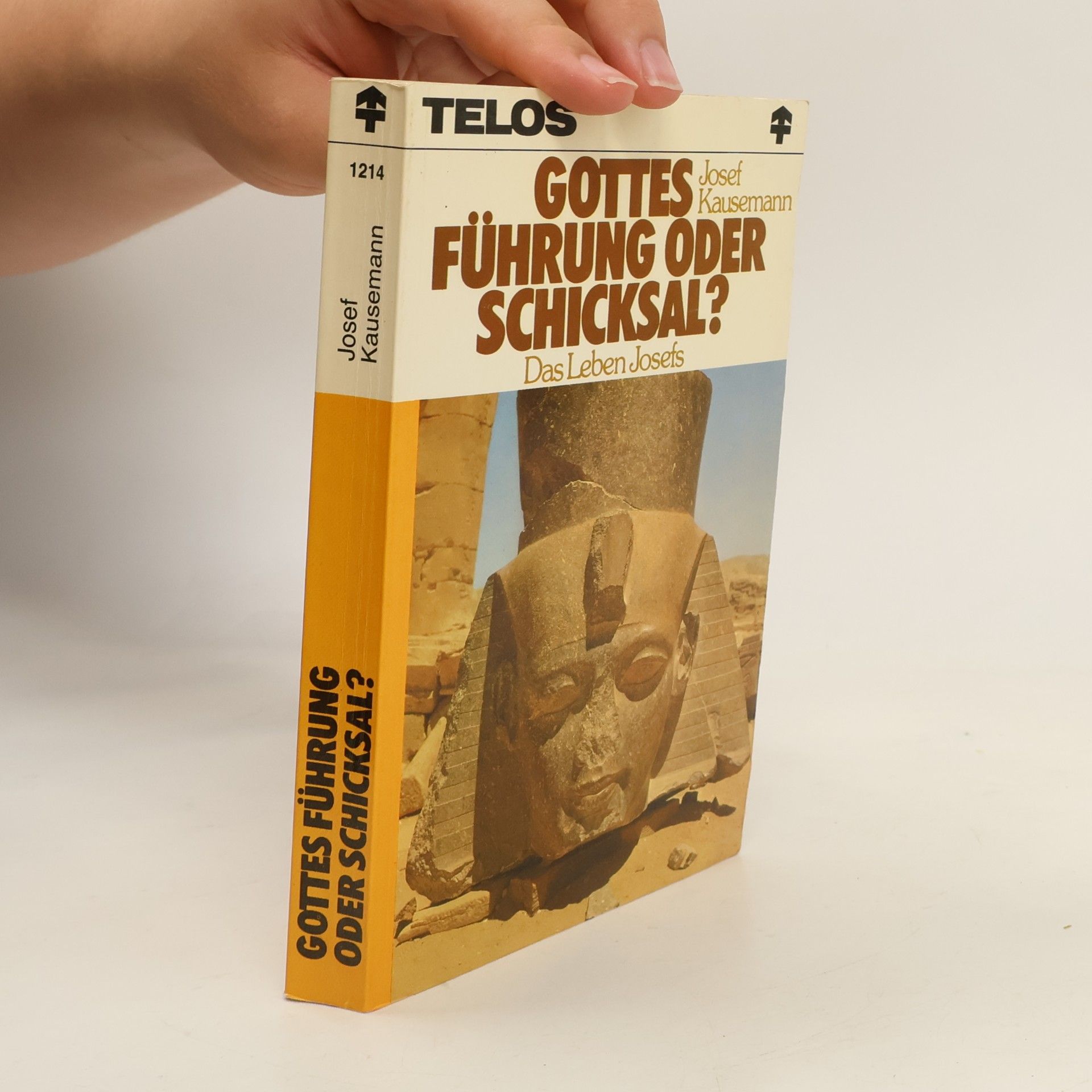 Josef Kausemann Gottes Führung oder Schicksal?