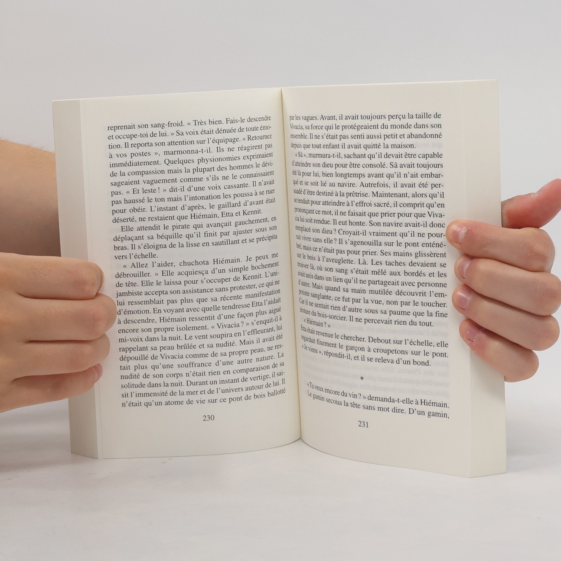 Robin Hobb Le Seigneur des trois regnes