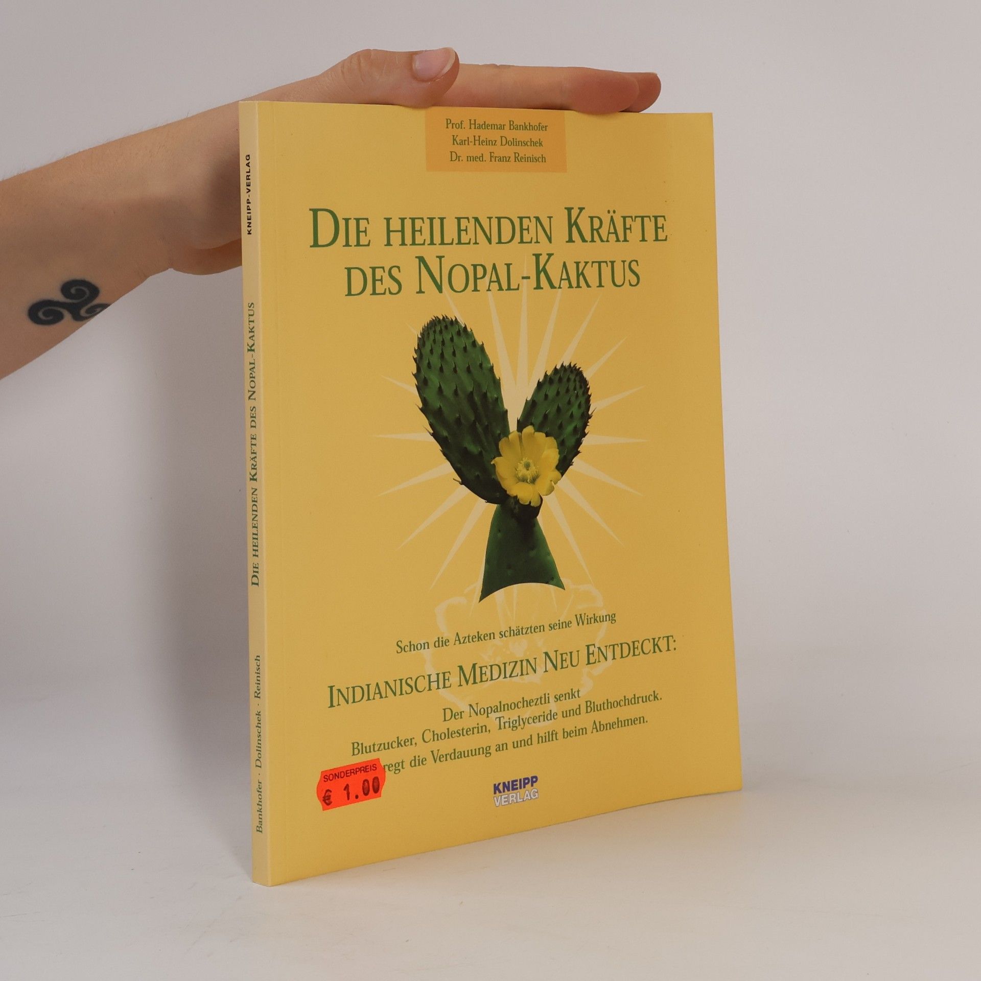 Die heilenden Kräfte des Nopal-Kaktus