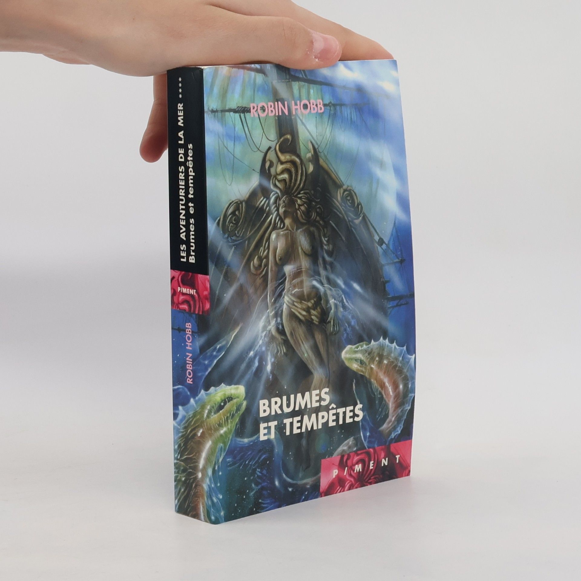 Véronique David-Marescot Les aventuriers de la mer - 4: Brumes et tempêtes