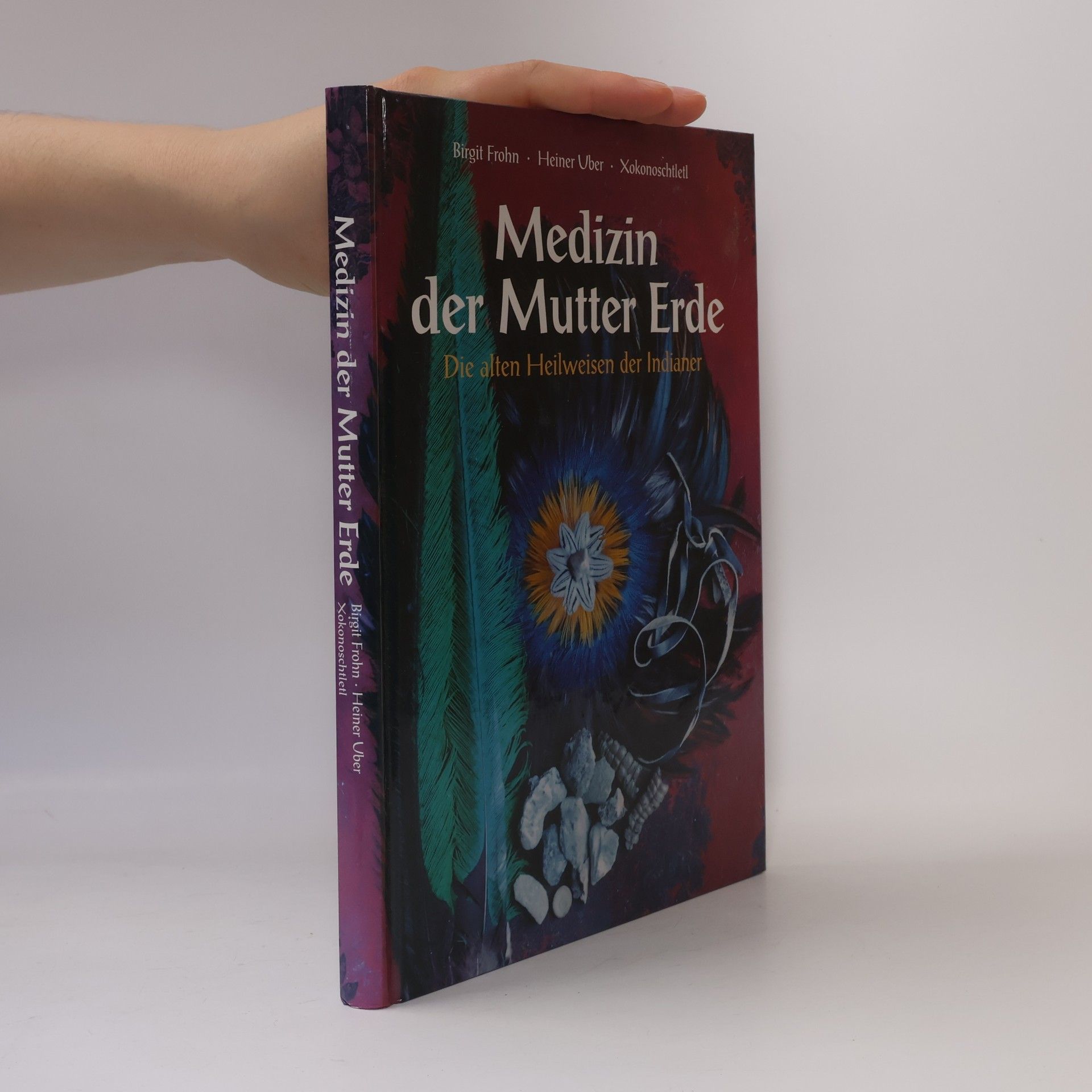 Brigit Frohn Medizin der Mutter Erde