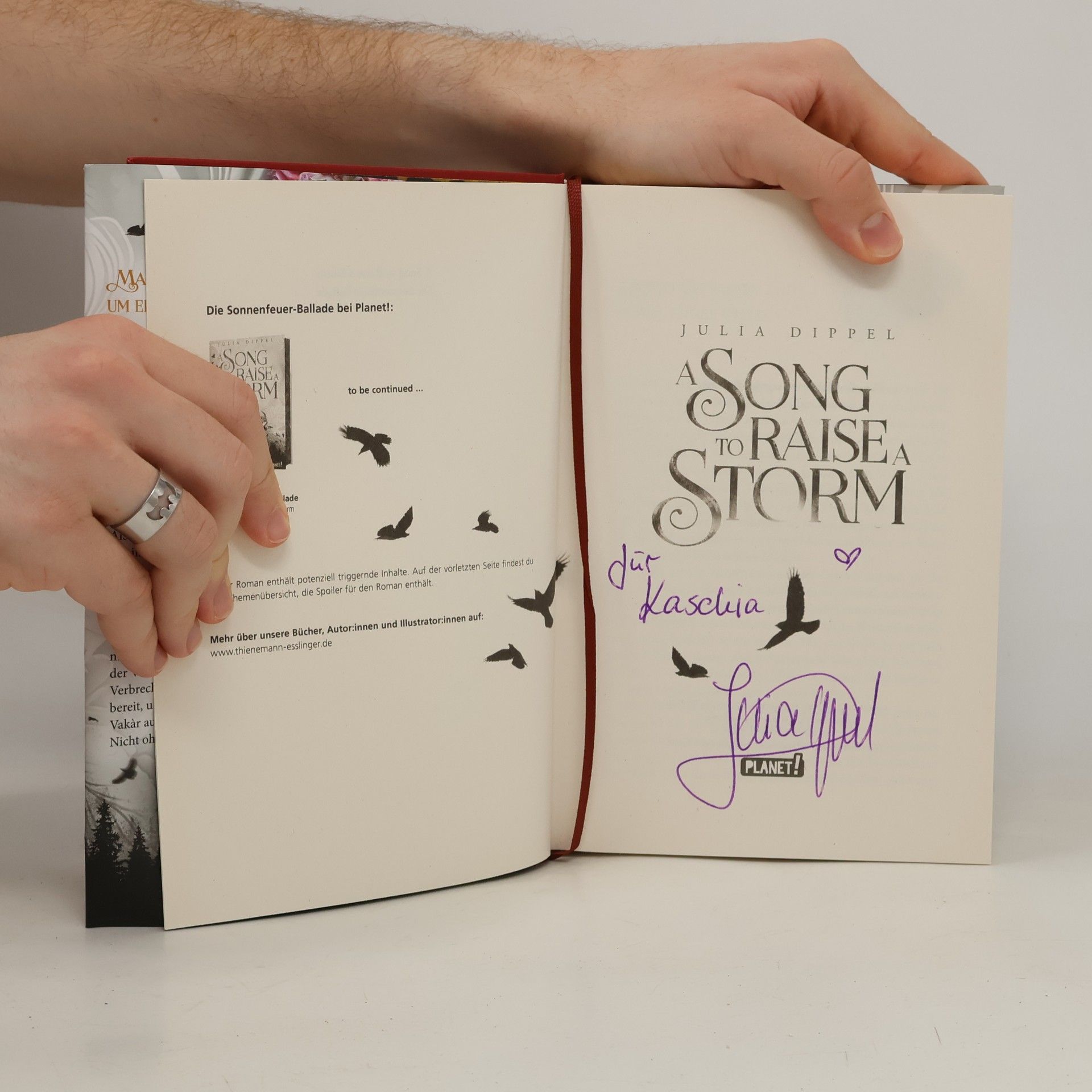 Julia Dippel Die Sonnenfeuer-Ballade 1: A Song to Raise a Storm