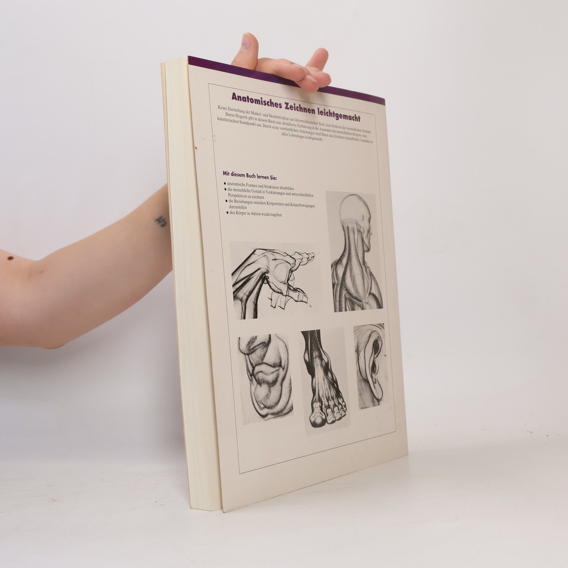 Burne Hogarth Anatomisches Zeichnen leichtgemacht
