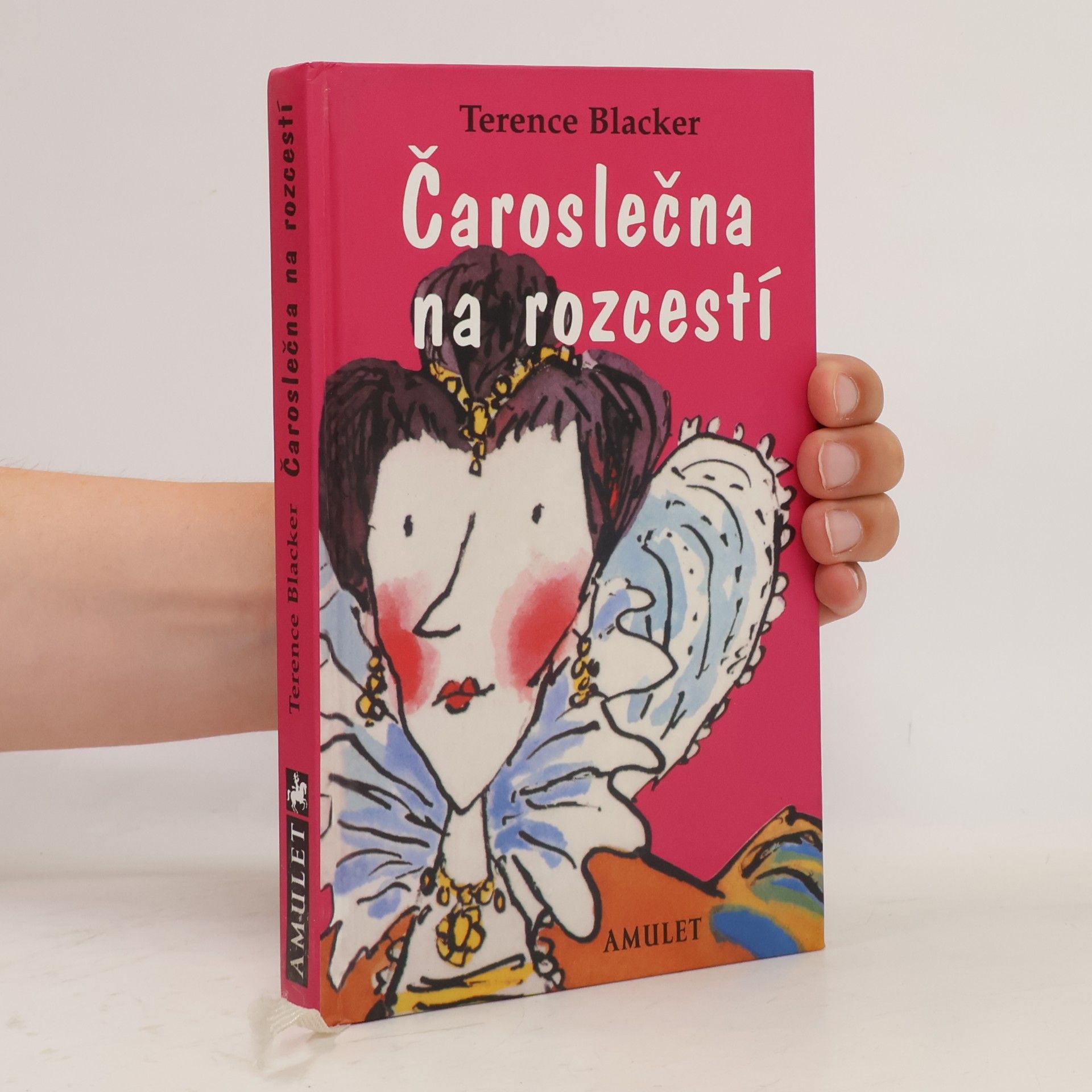 Terence Blacker Čaroslečna na rozcestí