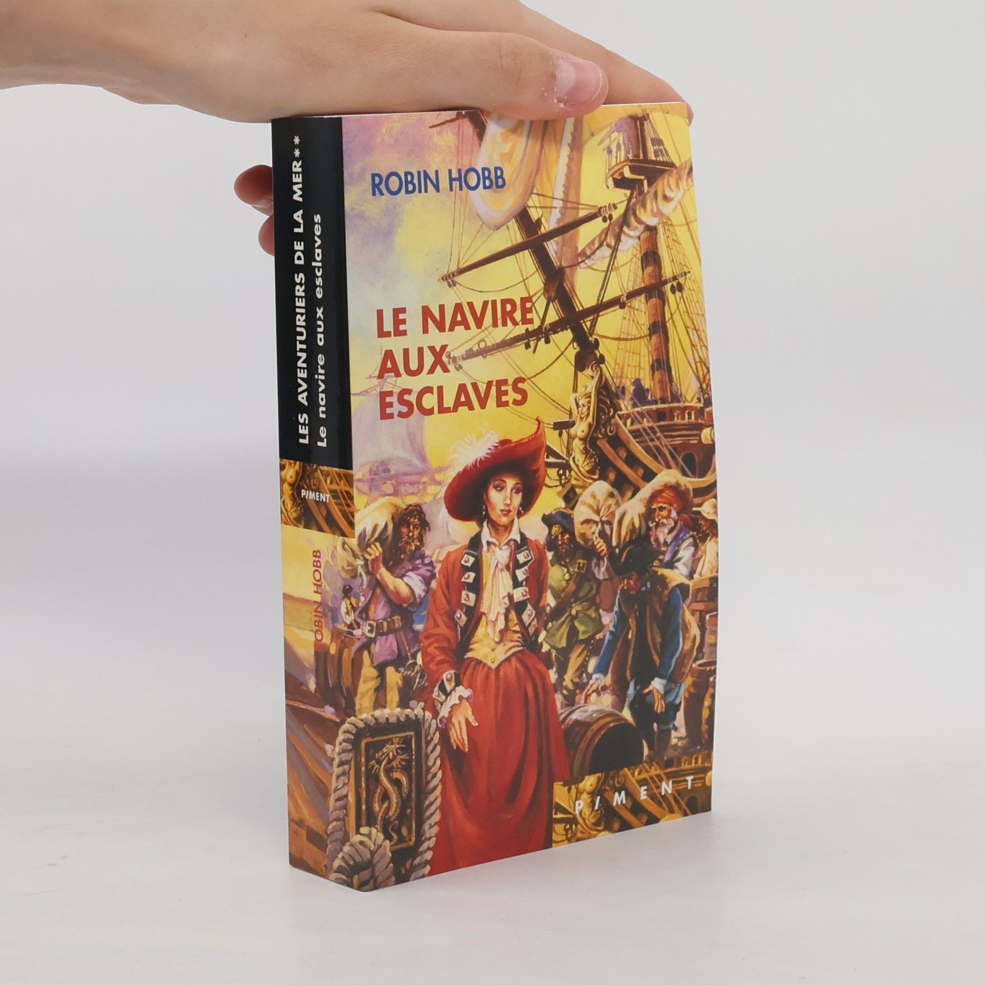 Robin Hobb Le Navire aux Esclaves