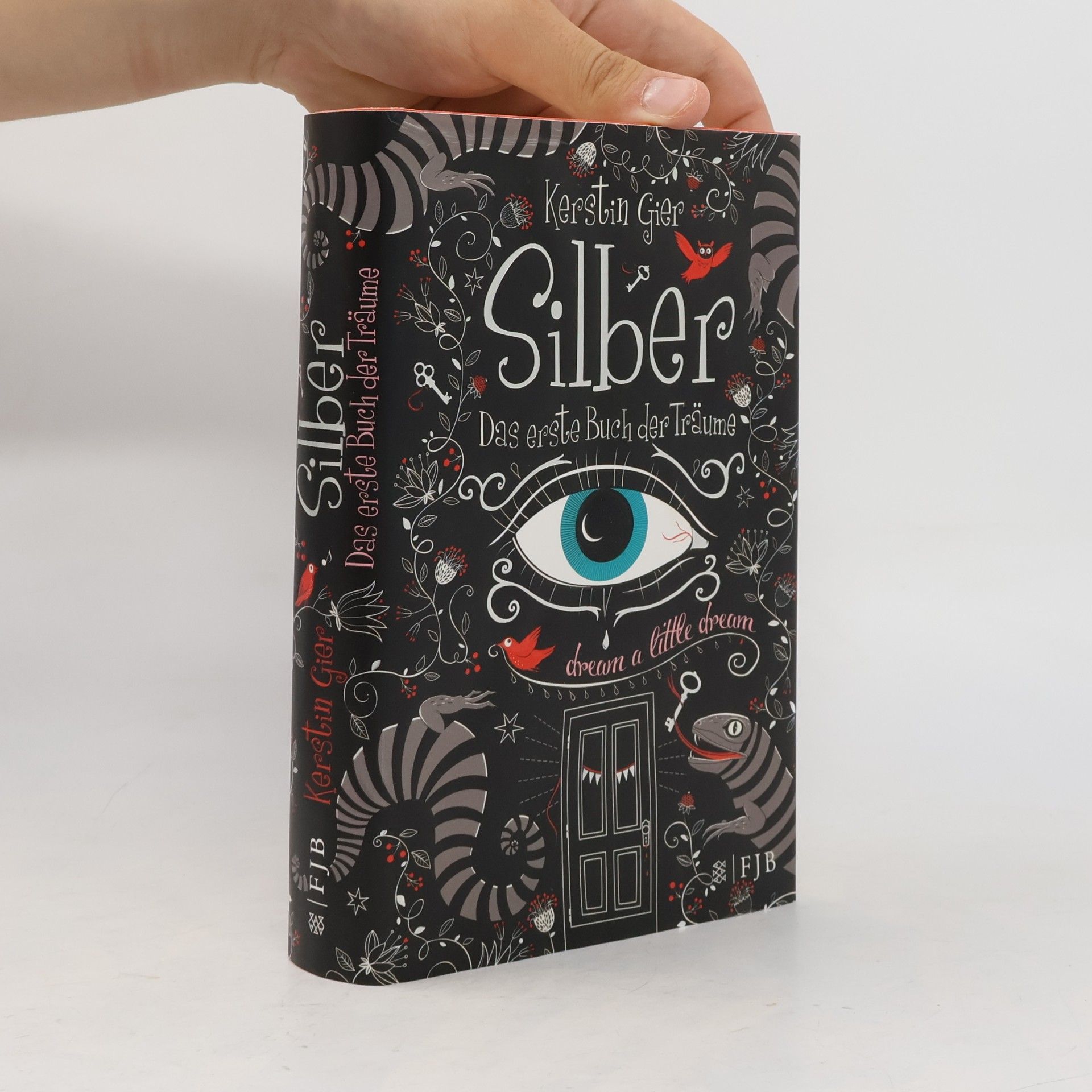 Kerstin Gier Silber. Das erste Buch der Träume