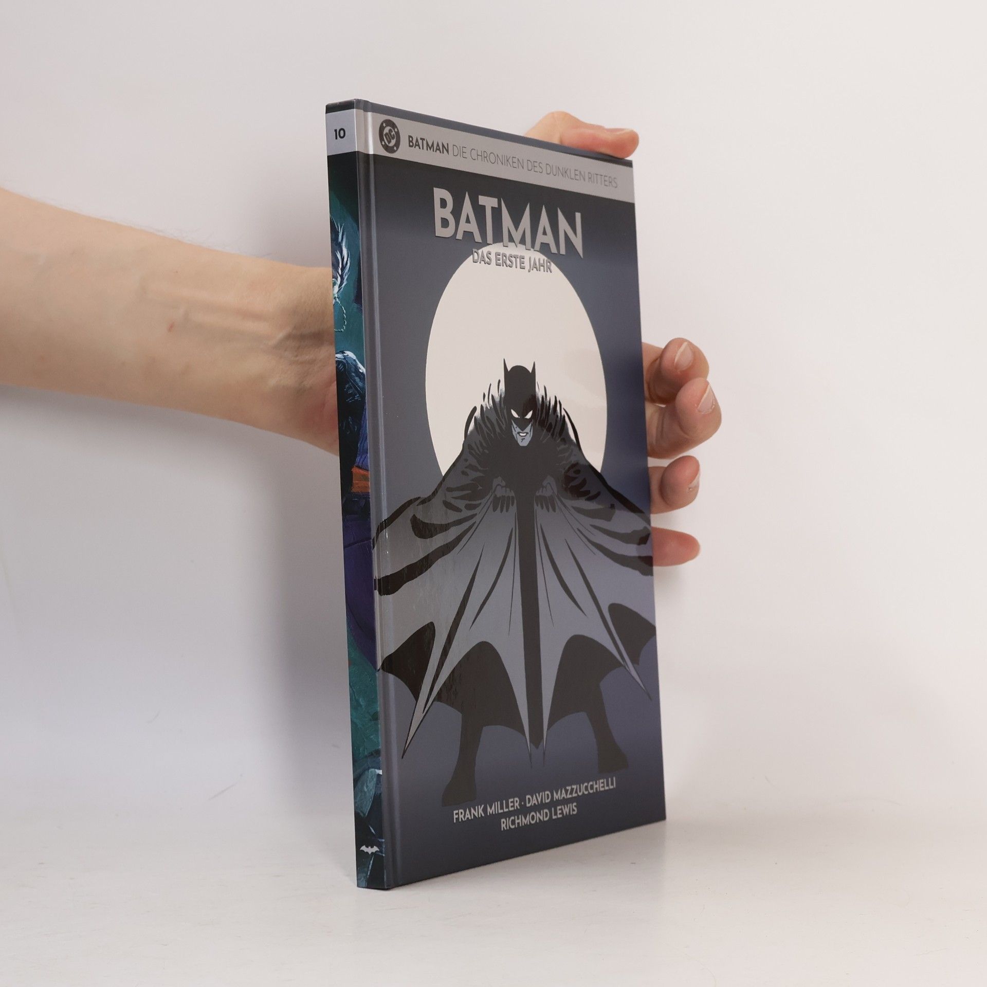 Richmond Lewis Batman. Die Chroniken des dunklen Ritters 10. Das erste Jahr