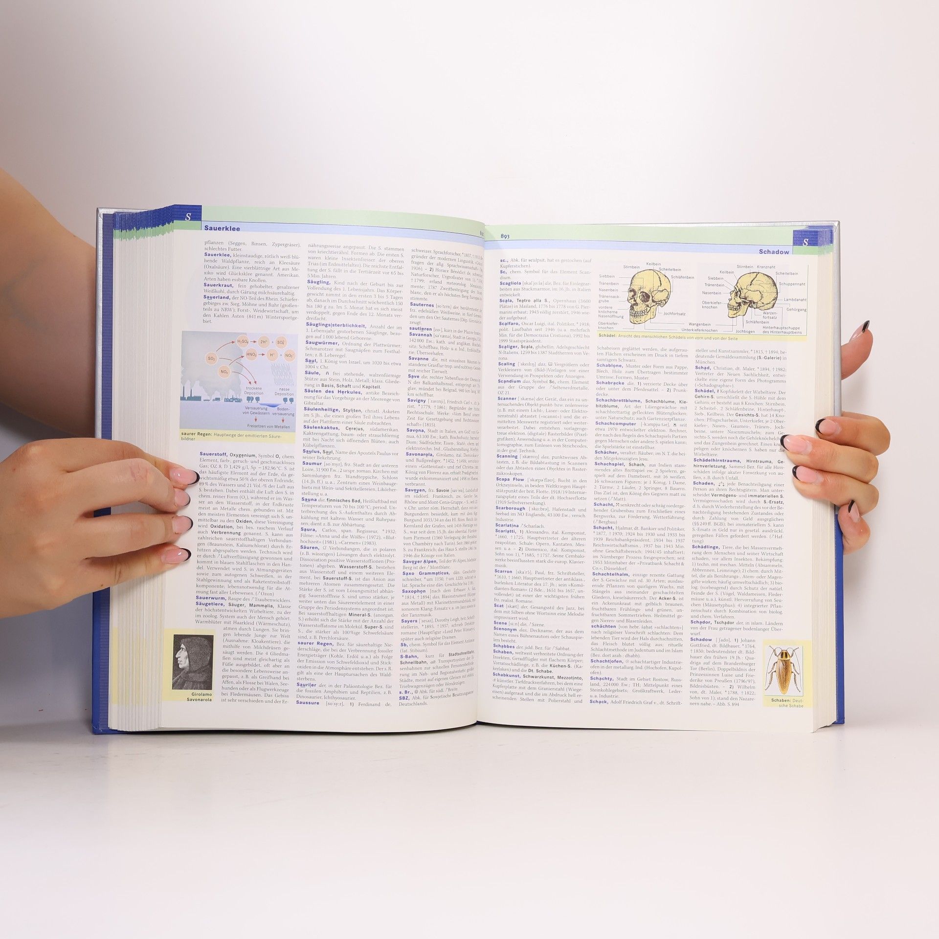 Autorenkollektiv Der Grosse BrockHaus