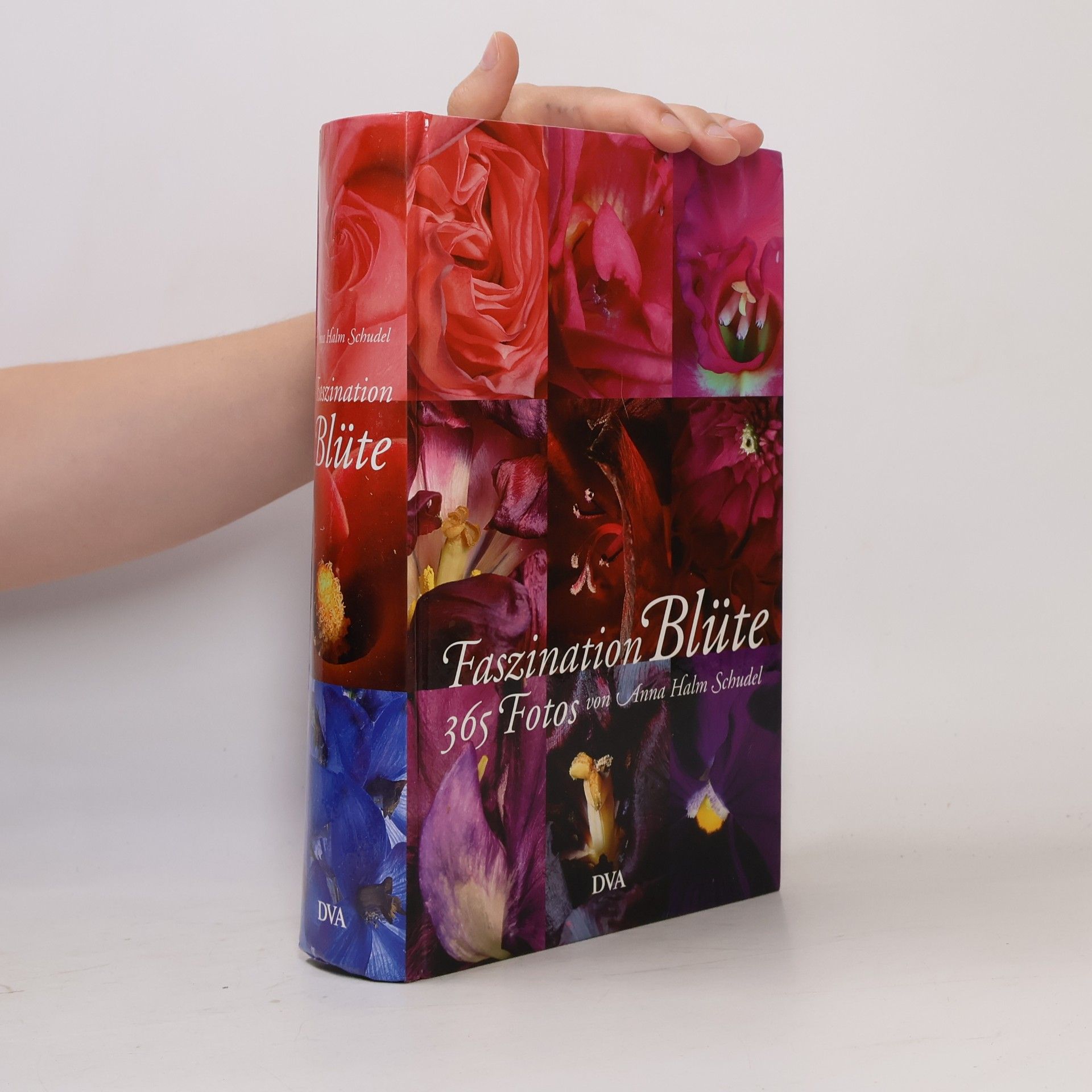 Anna Halm Schudel Faszination Blüte