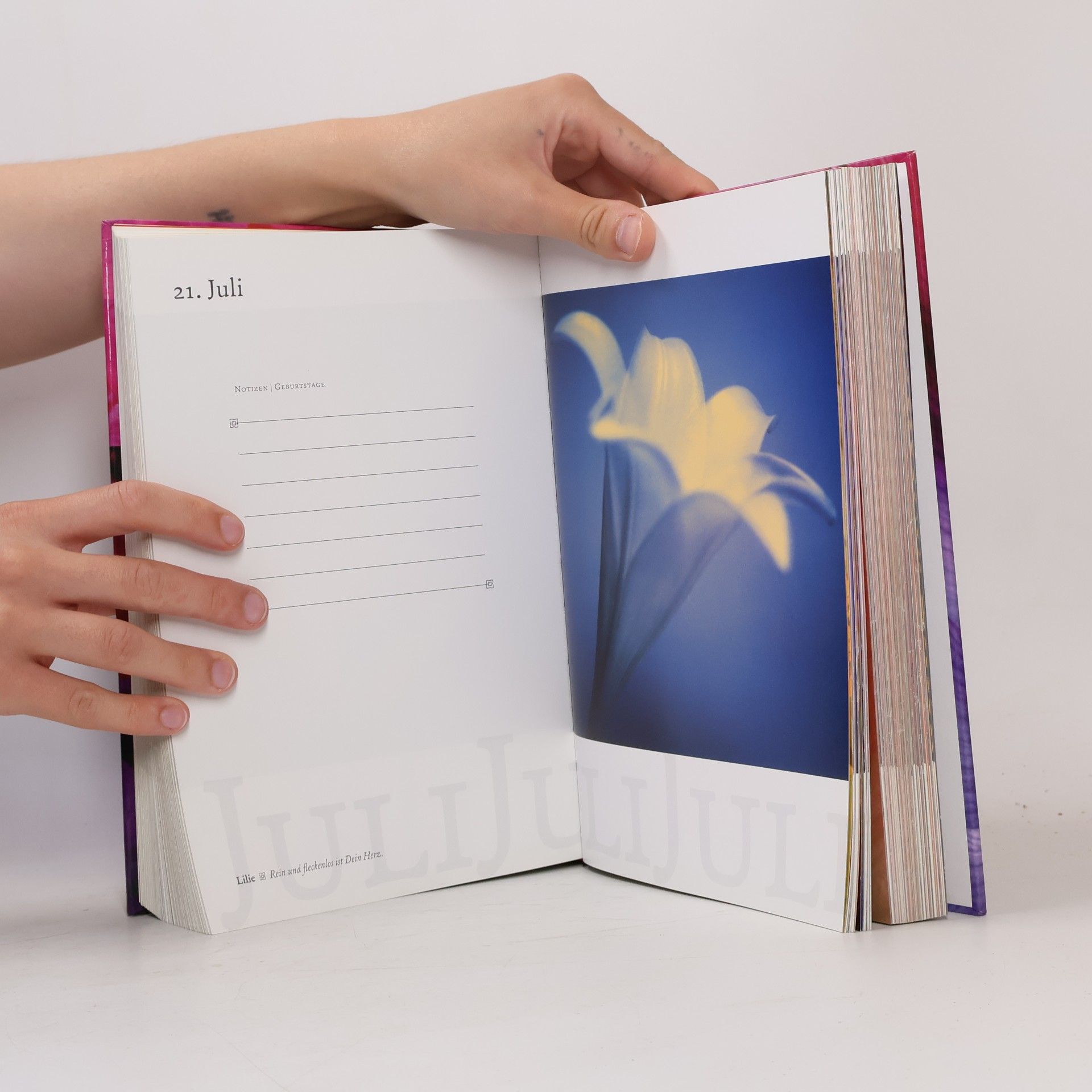 Anna Halm Schudel Faszination Blüte
