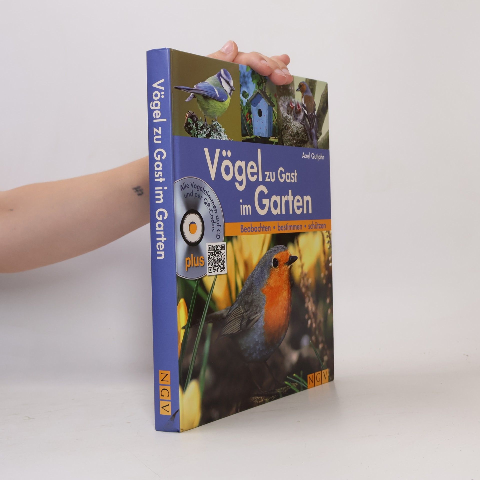 Autorenkollektiv Vögel zu Gast im Garten