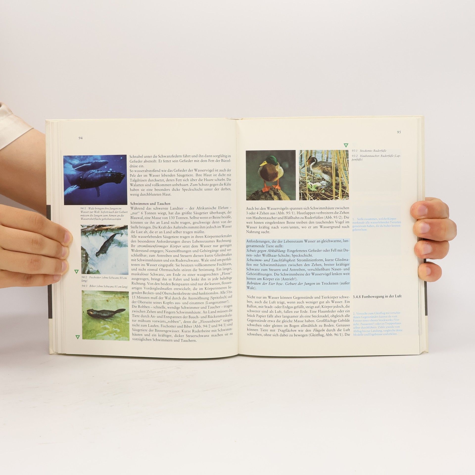 Autorenkollektiv Einführung in die Biologie