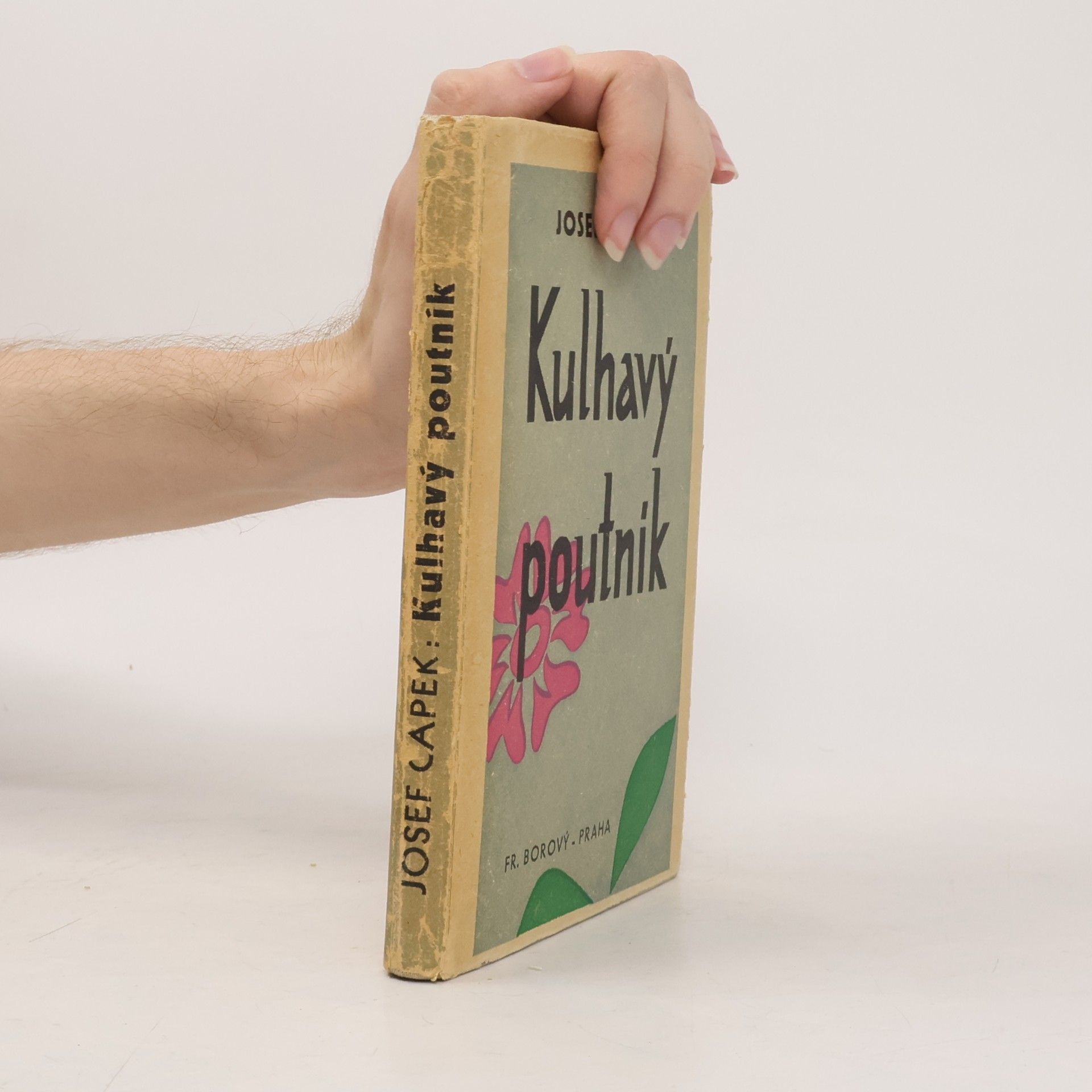 Josef Čapek Kulhavý poutník