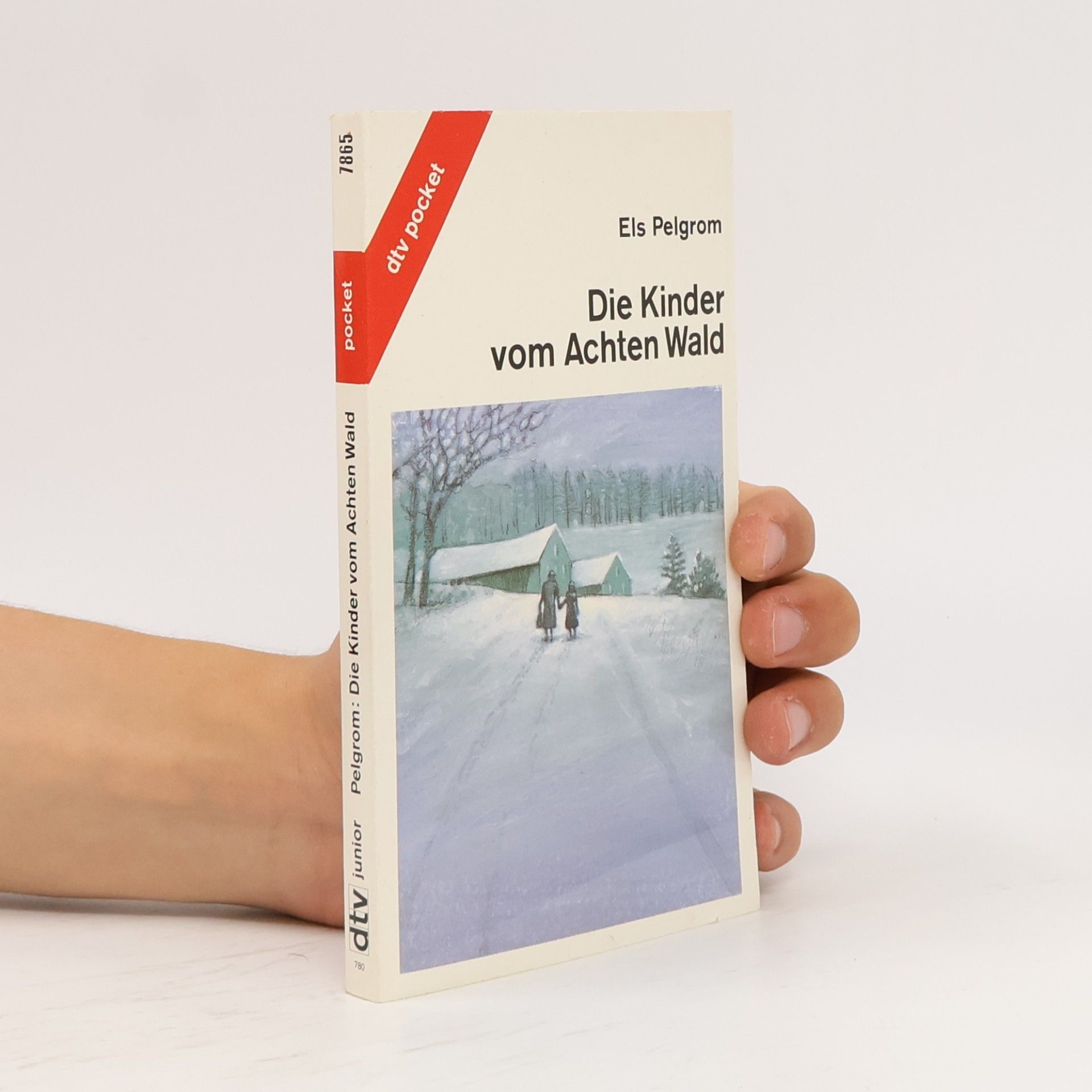 Els Pelgrom Die Kinder vom Achten Wald