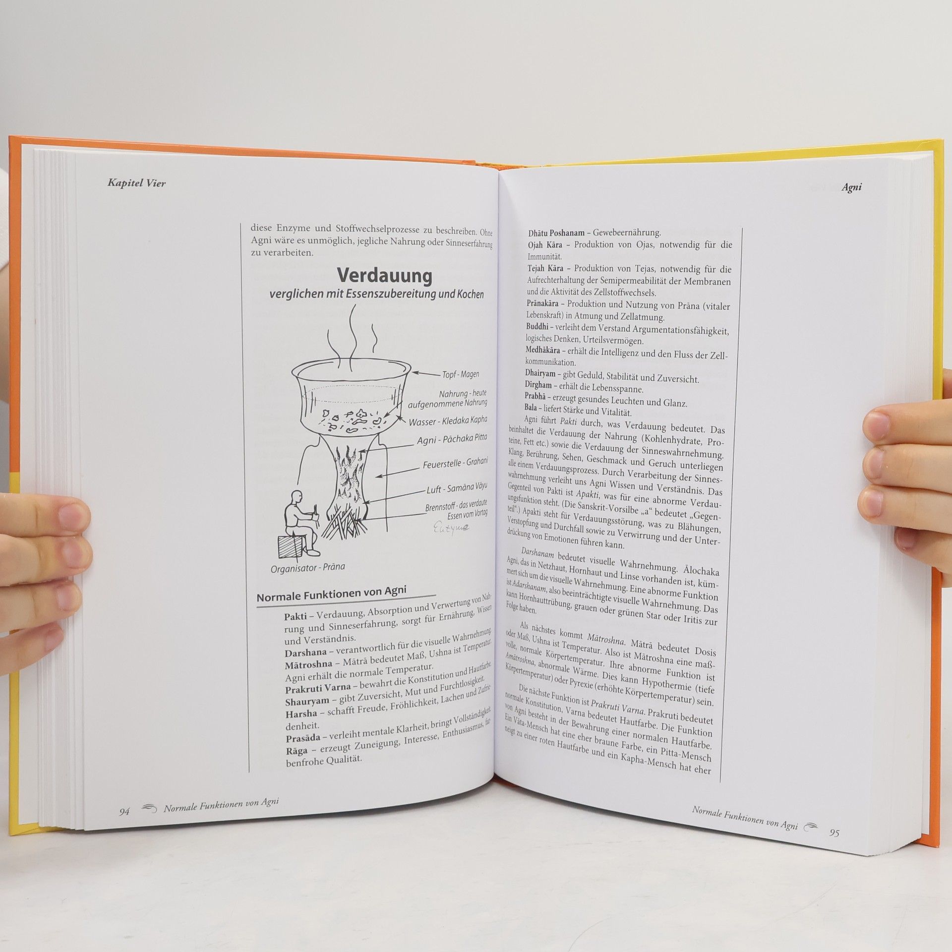 Vasant Lad Lehrbuch des Āyurveda