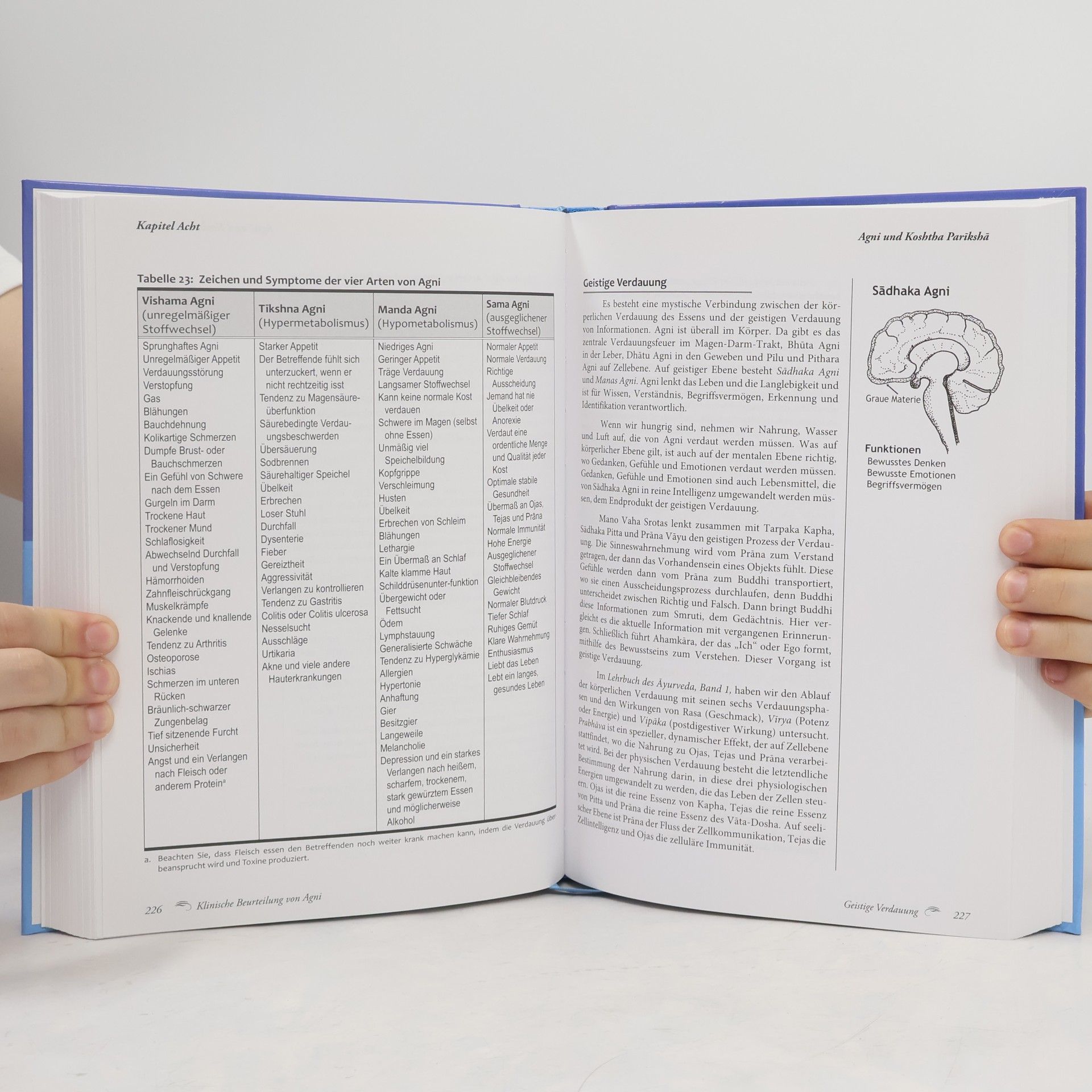 Vasant Lad Lehrbuch des Āyurveda